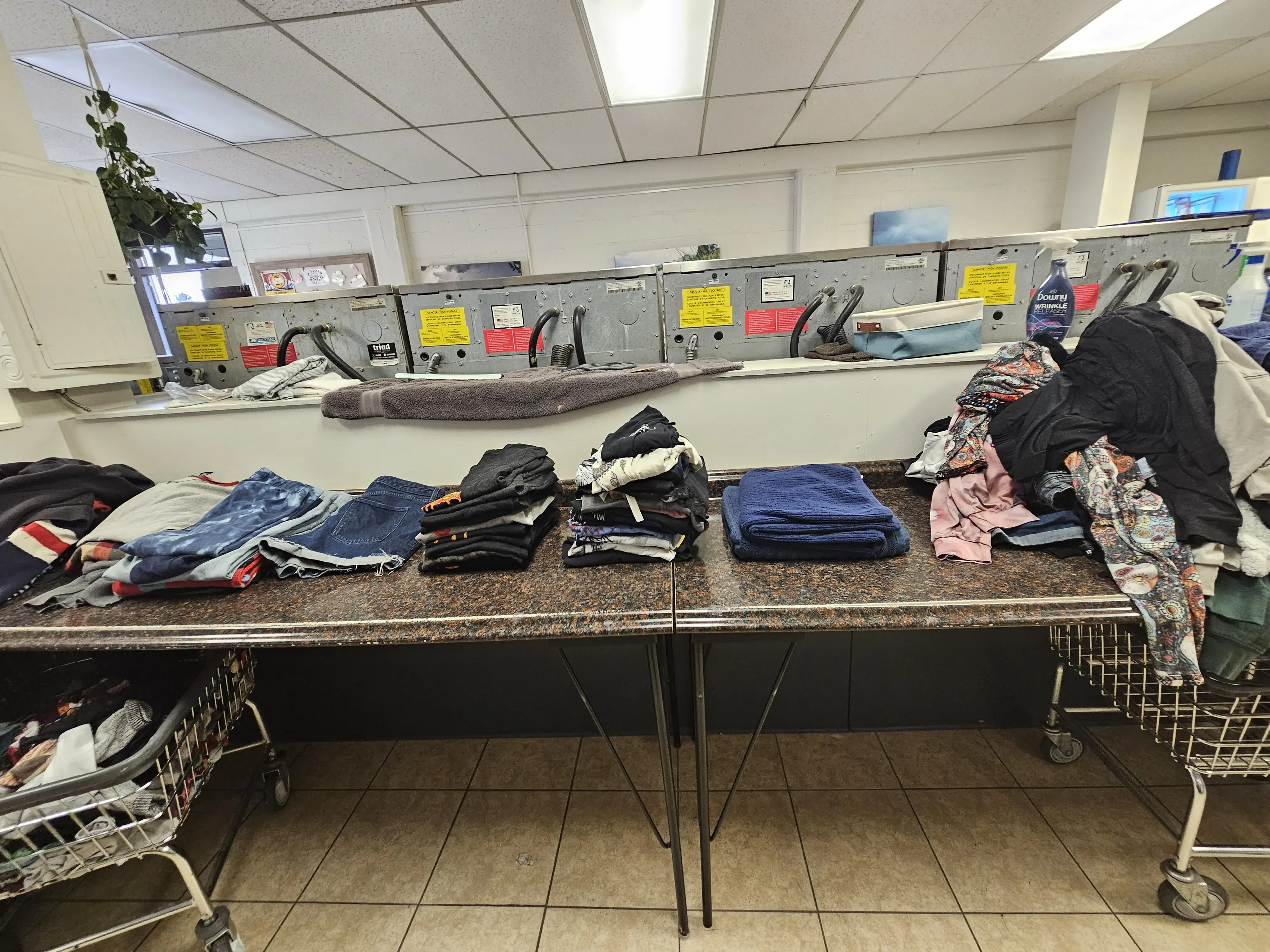 The Clothesline - Image 13