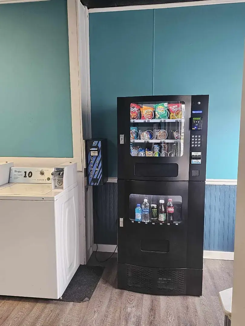 The Dirty Laundry Club - Image 5