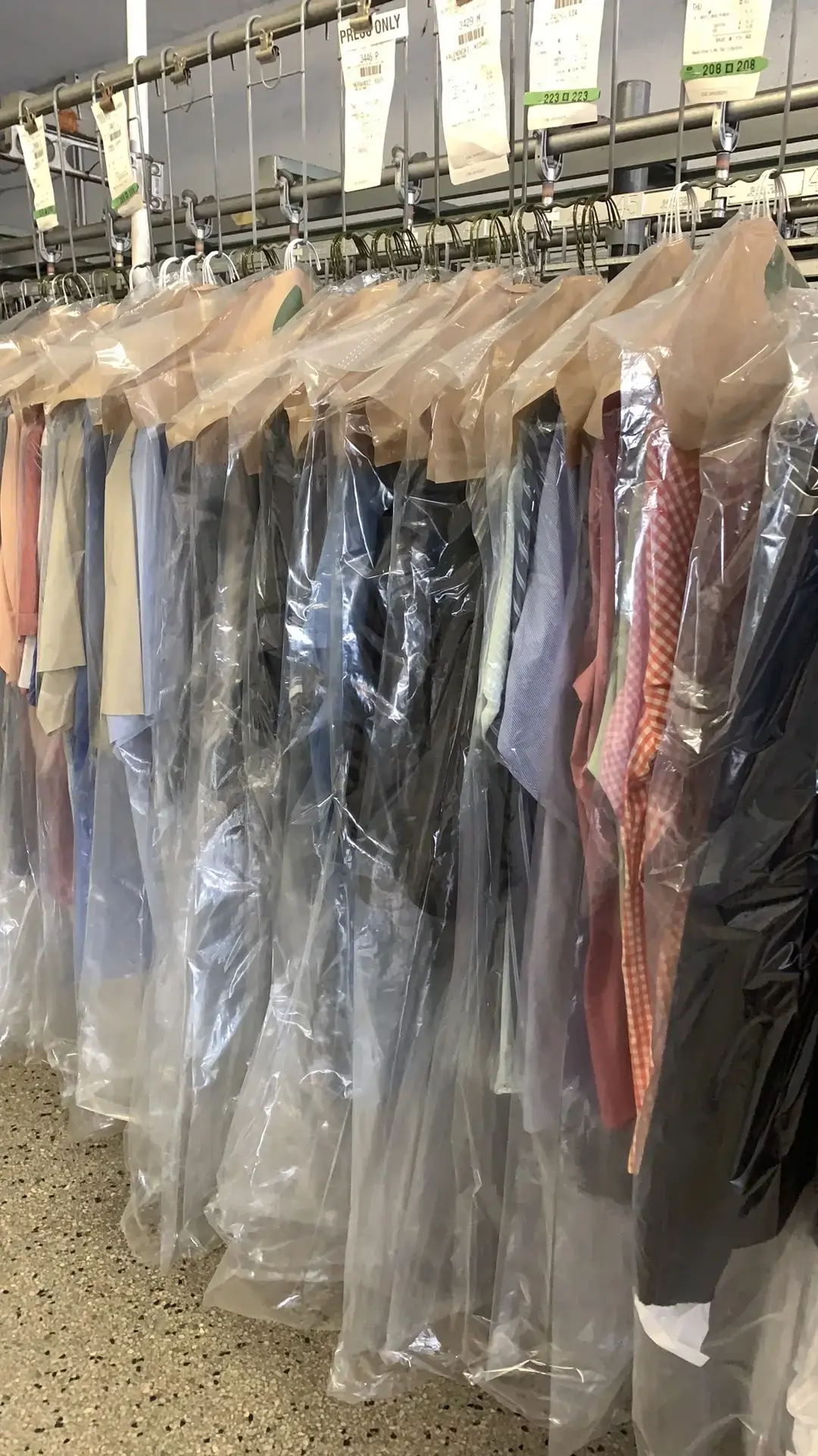 The Dry Cleaner - Hollywood - Image 7