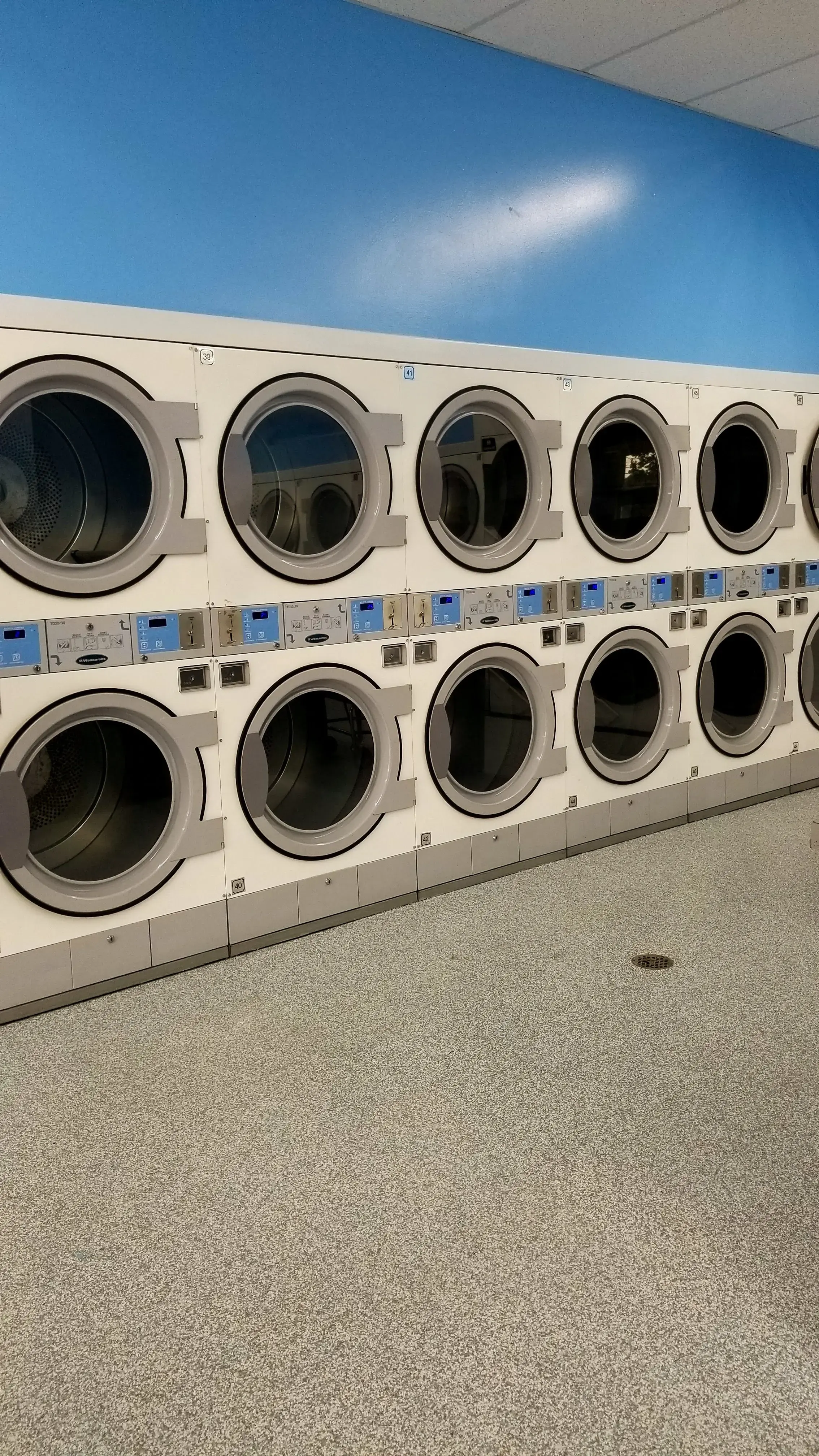 The Family Bubble thumbnail 20