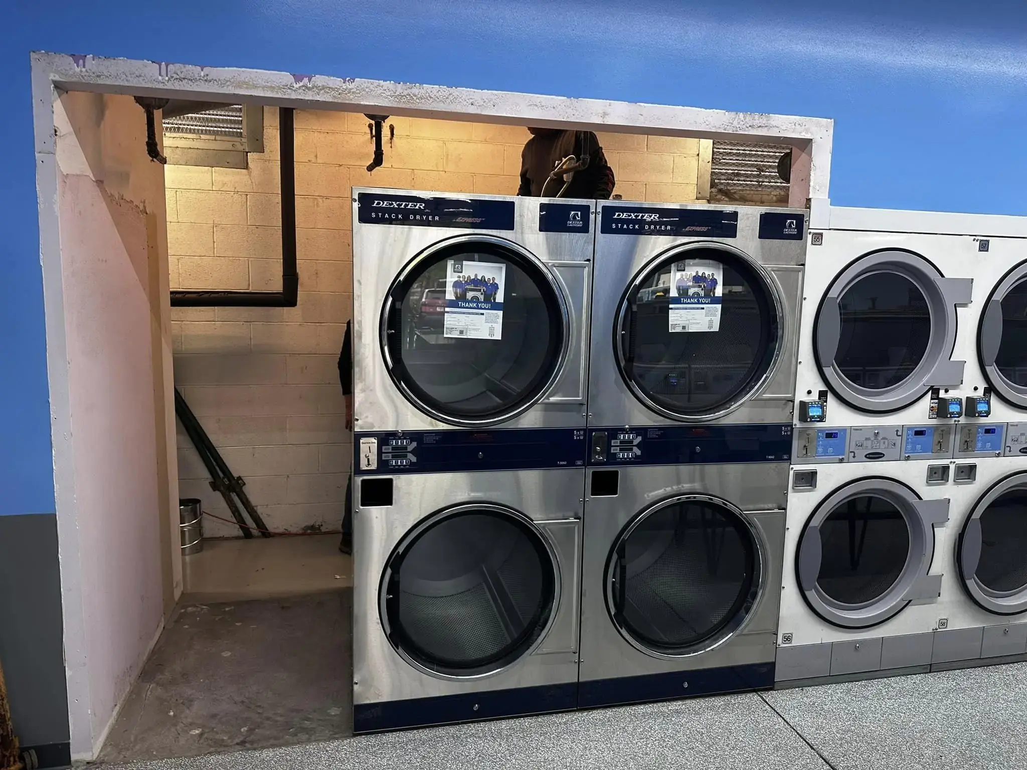 The Family Bubble - Image 18