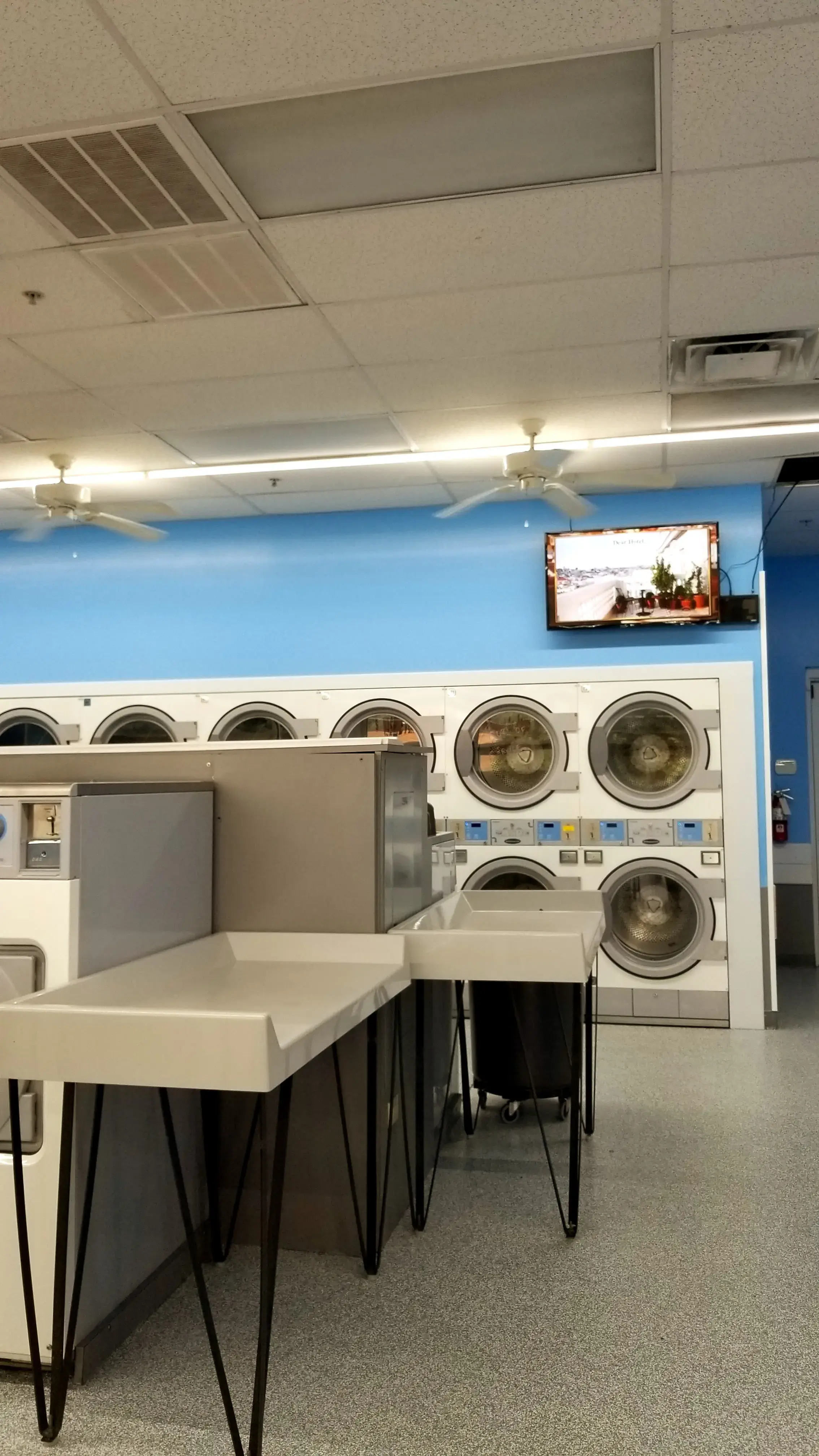 The Family Bubble - Image 6