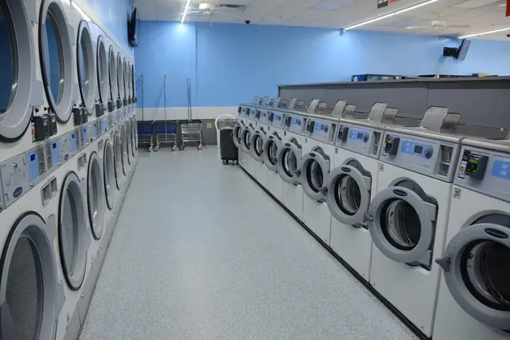 The Family Bubble thumbnail 2