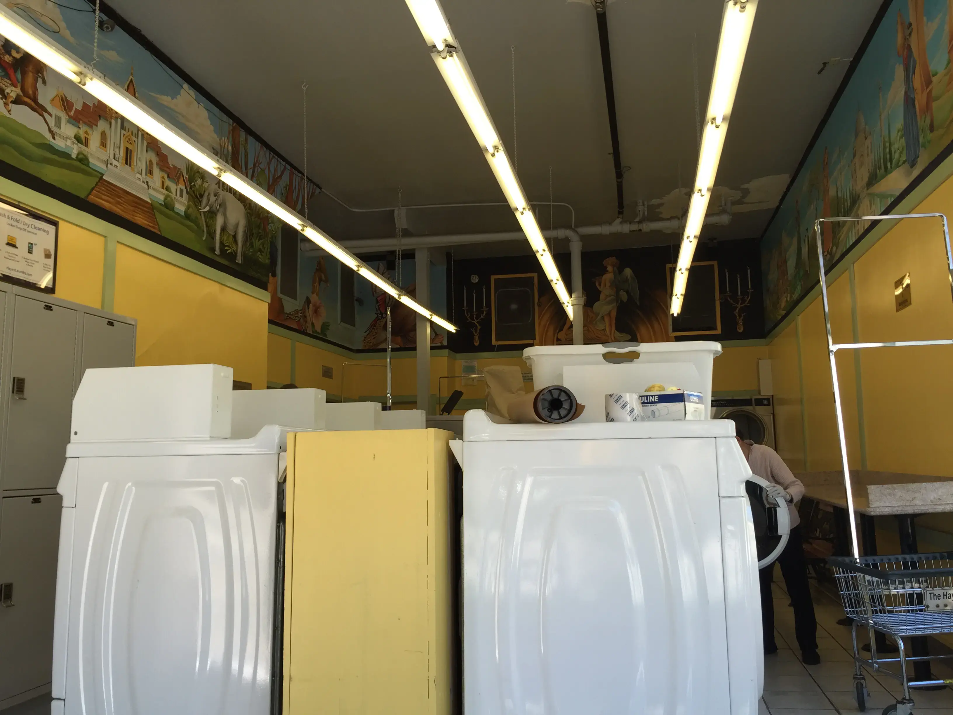 The Hayes Laundry - Image 12