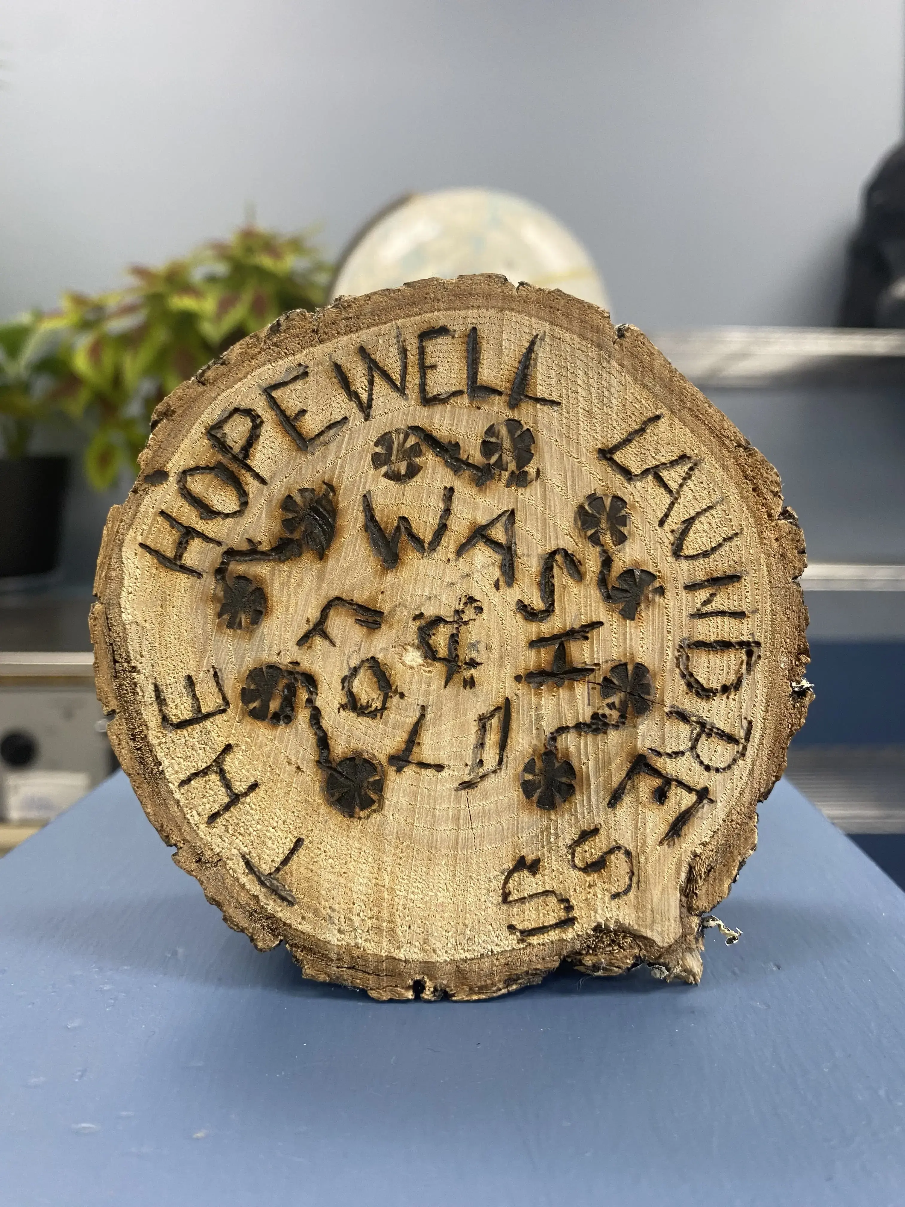 The Hopewell Laundress thumbnail 12