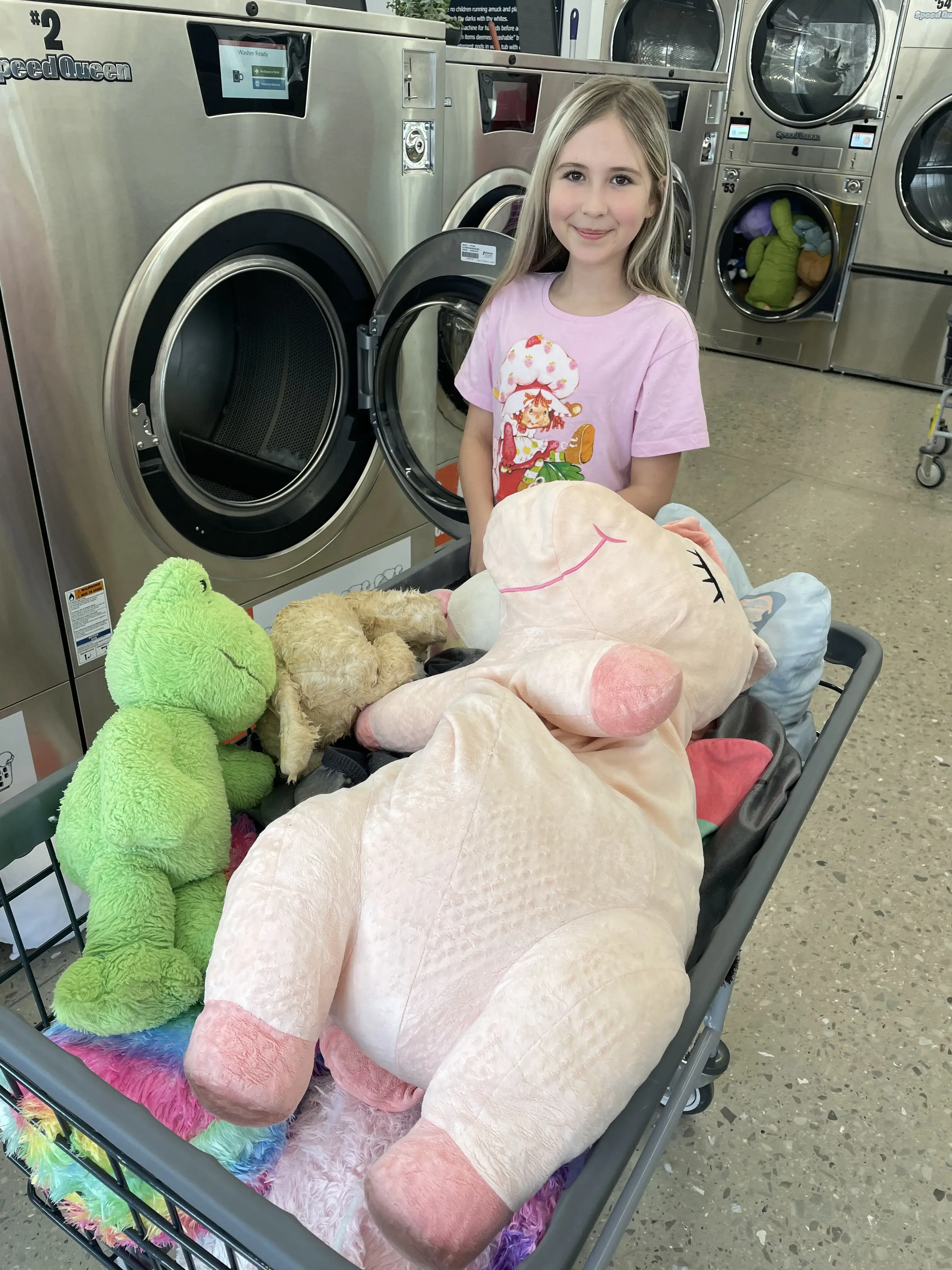 The Laundrette Laundromat thumbnail 11