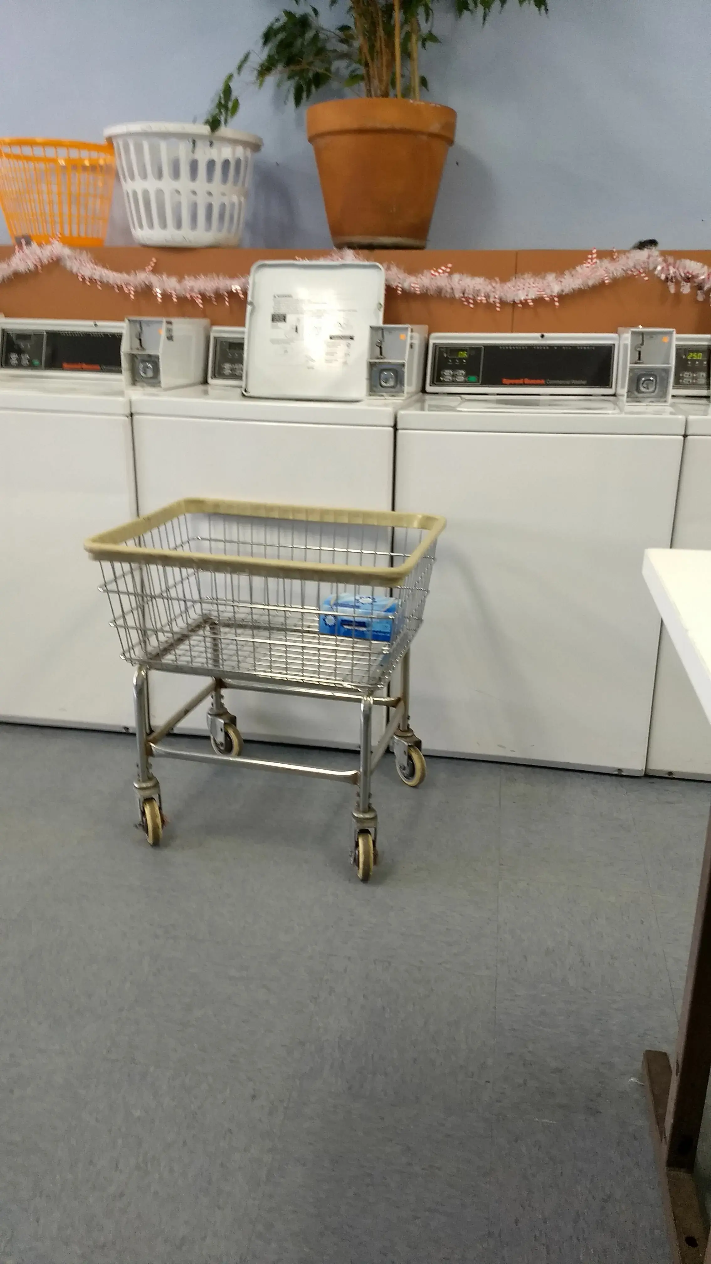 The Laundromat, Albany, CA thumbnail 20