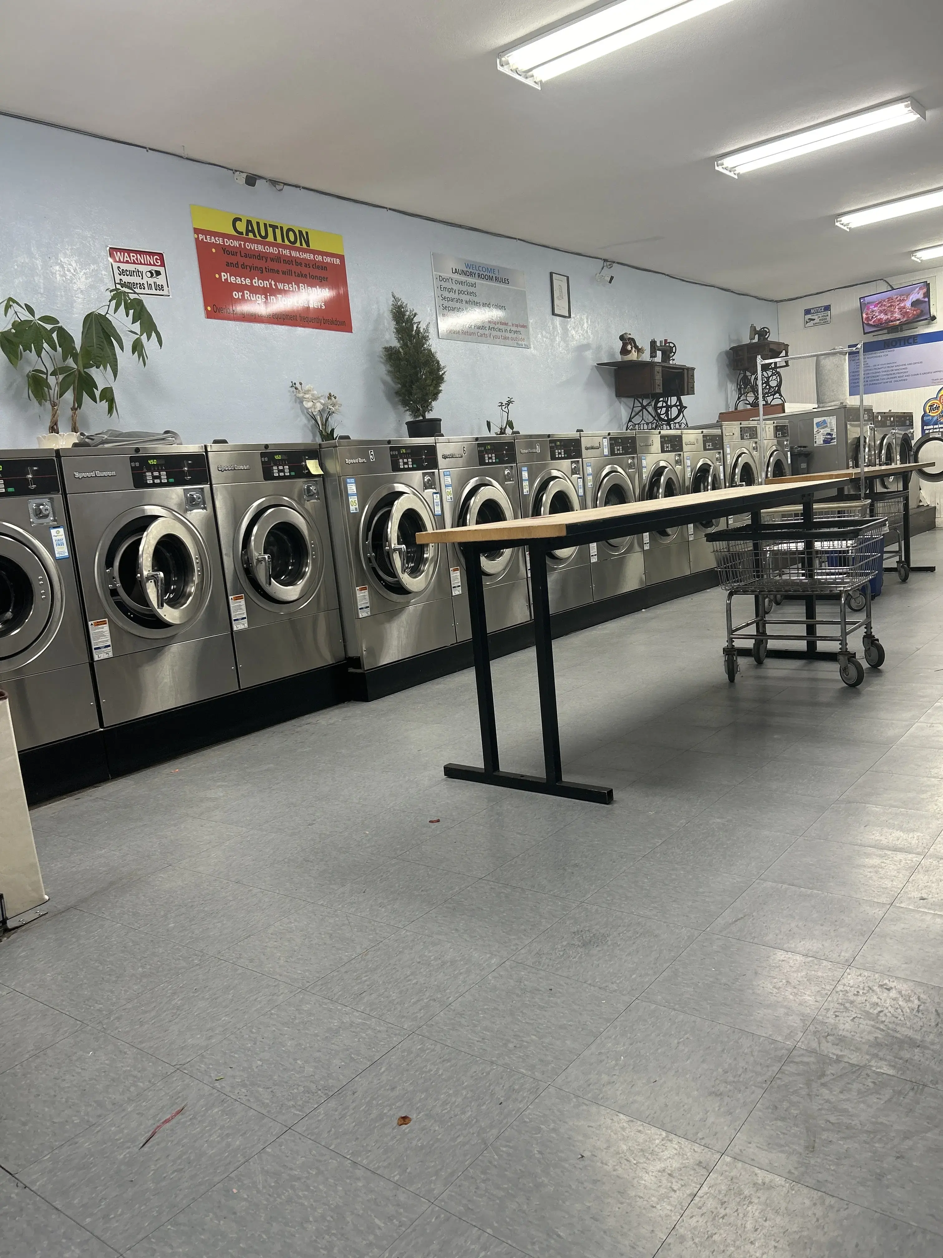 The Laundromat, Albany, CA thumbnail 13