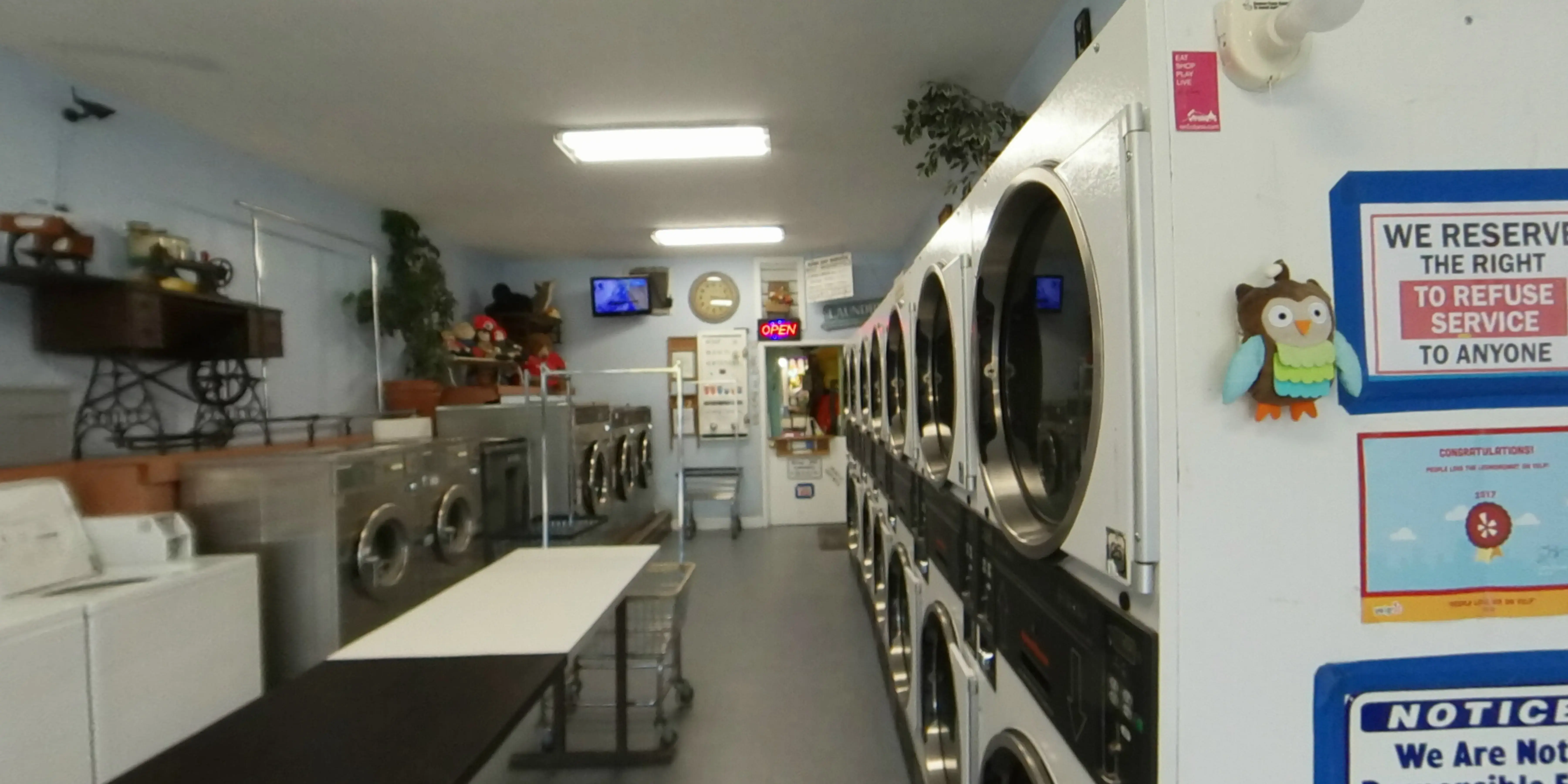 The Laundromat, Albany, CA - Image 10