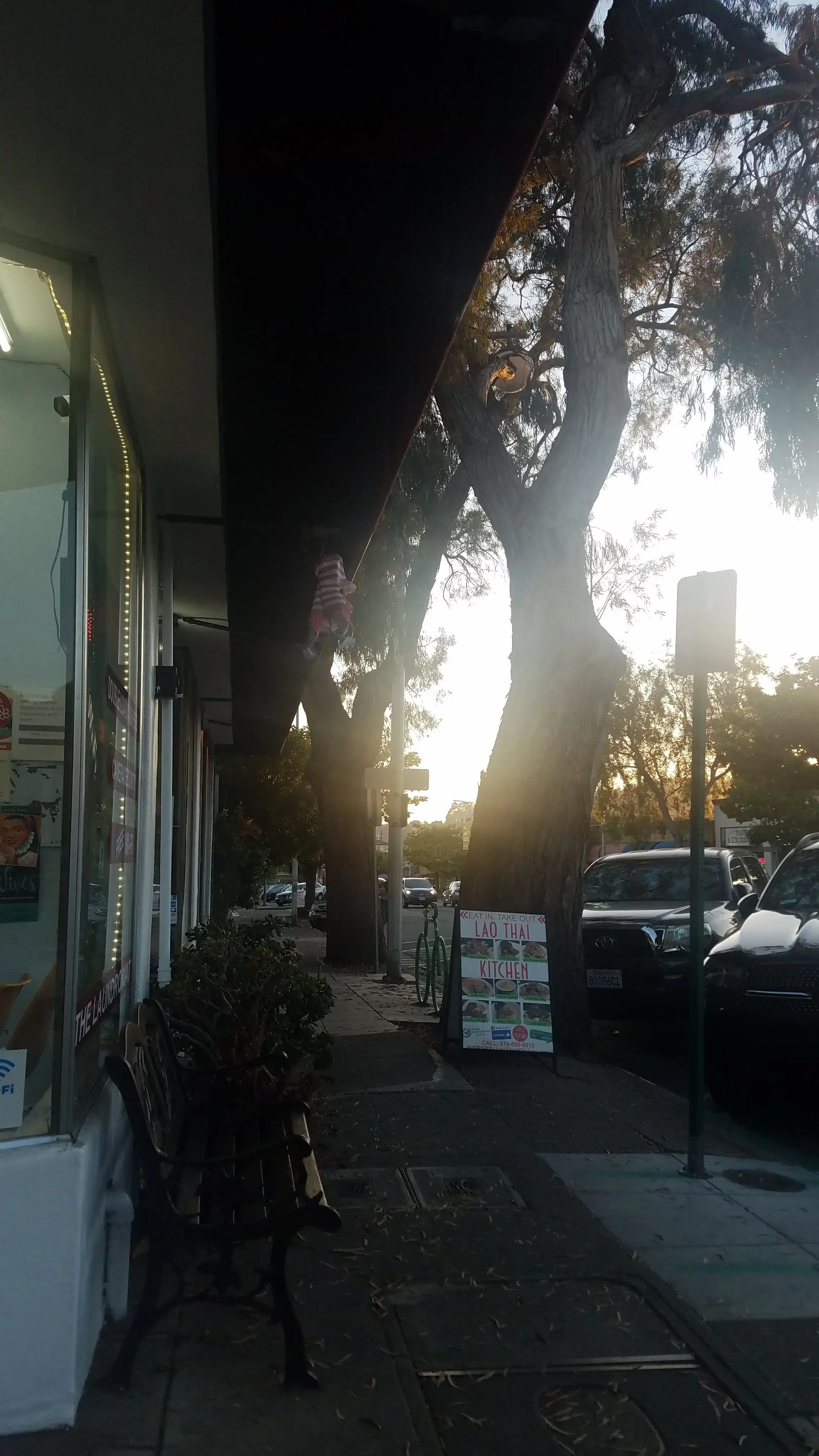 The Laundromat, Albany, CA - Image 17