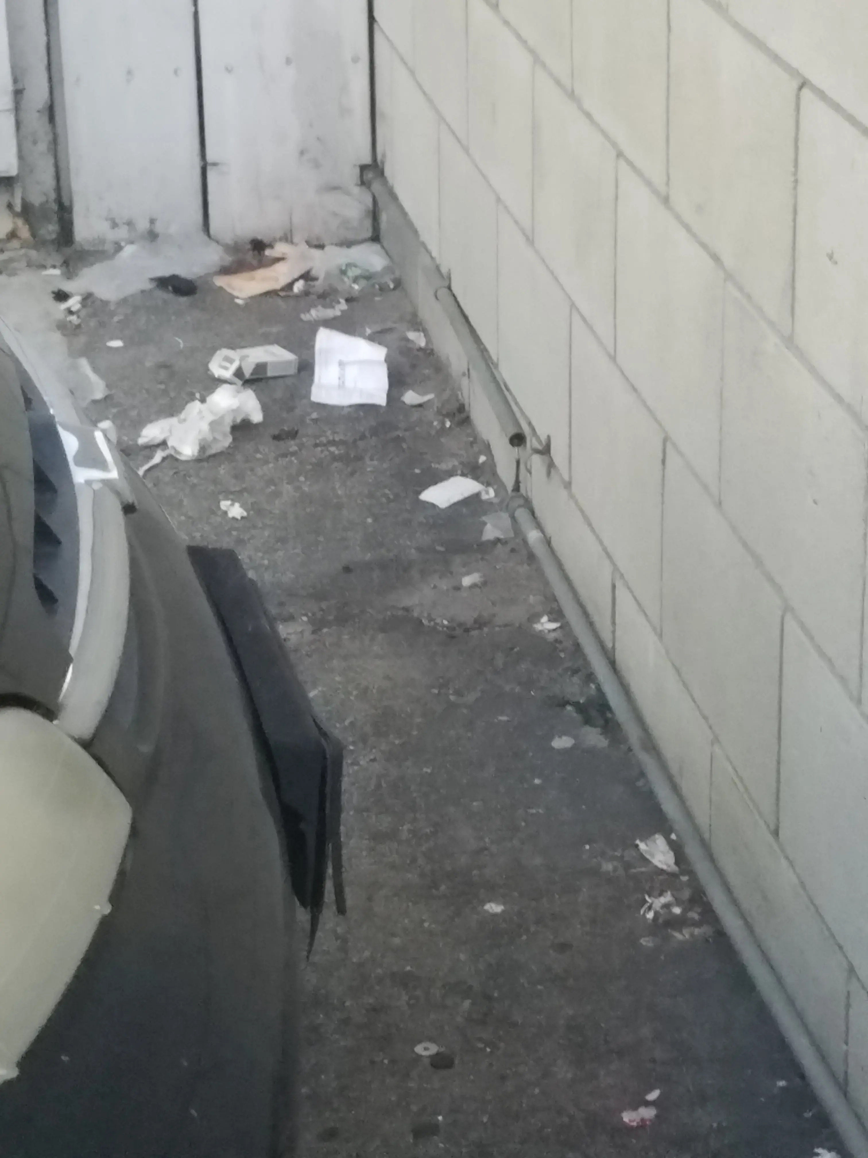 THE LAUNDROMAT OF DOWNEY - Image 16