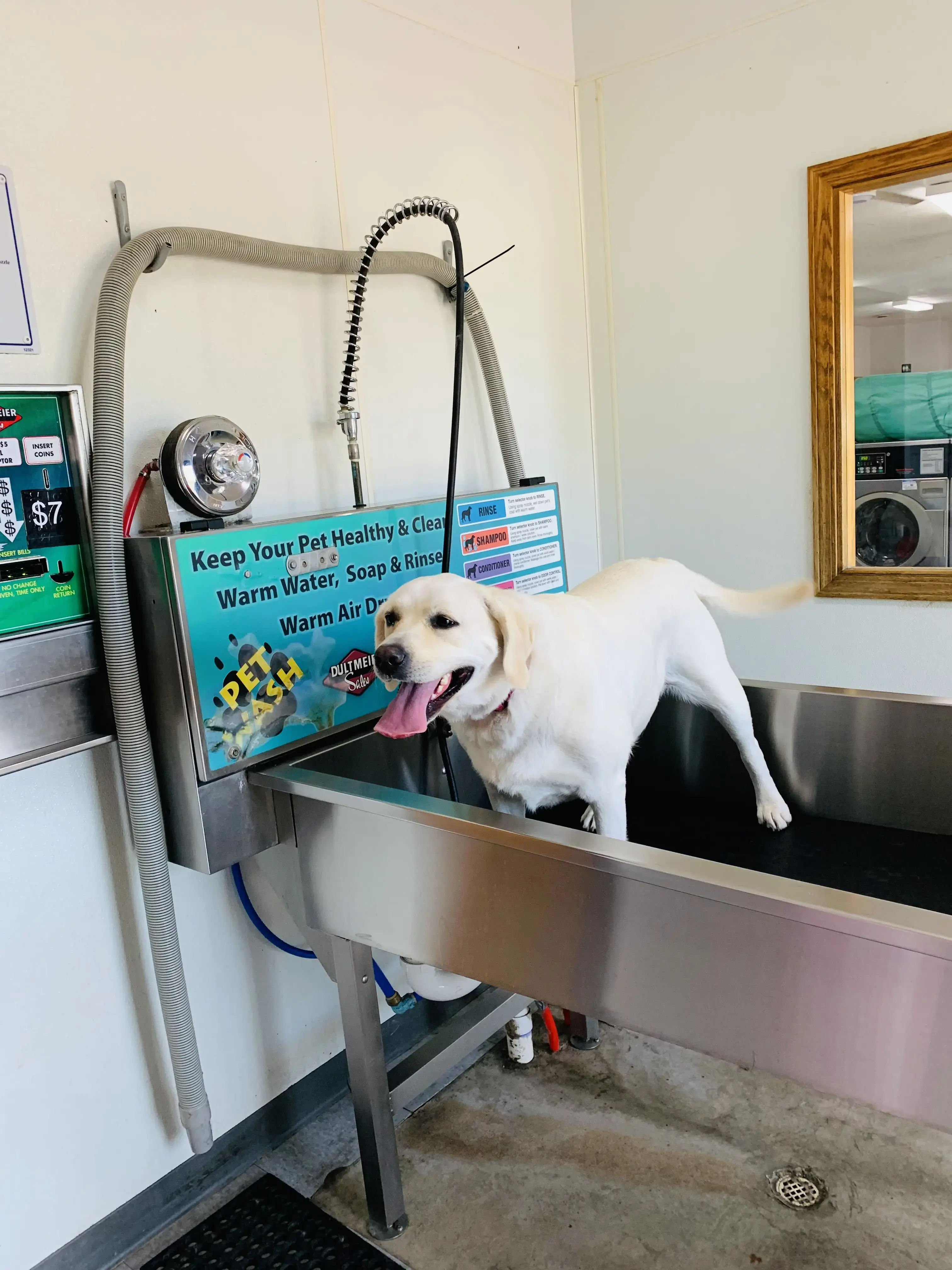 The Laundromat of Mt Pleasant - Image 8