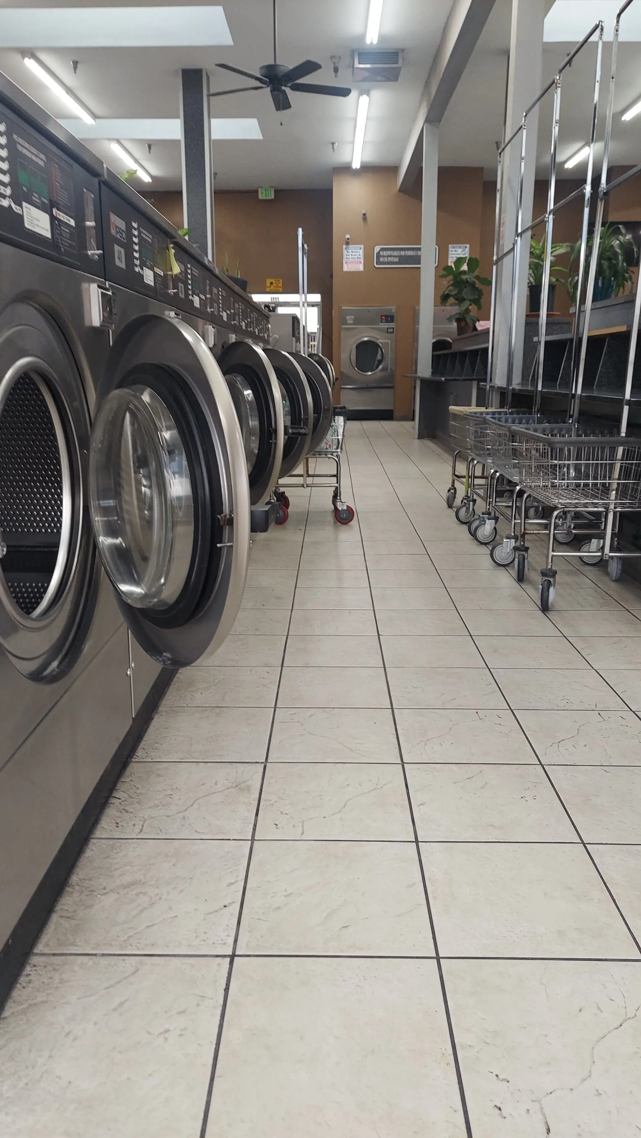 The Laundromat Of North Hollywood - Image 13