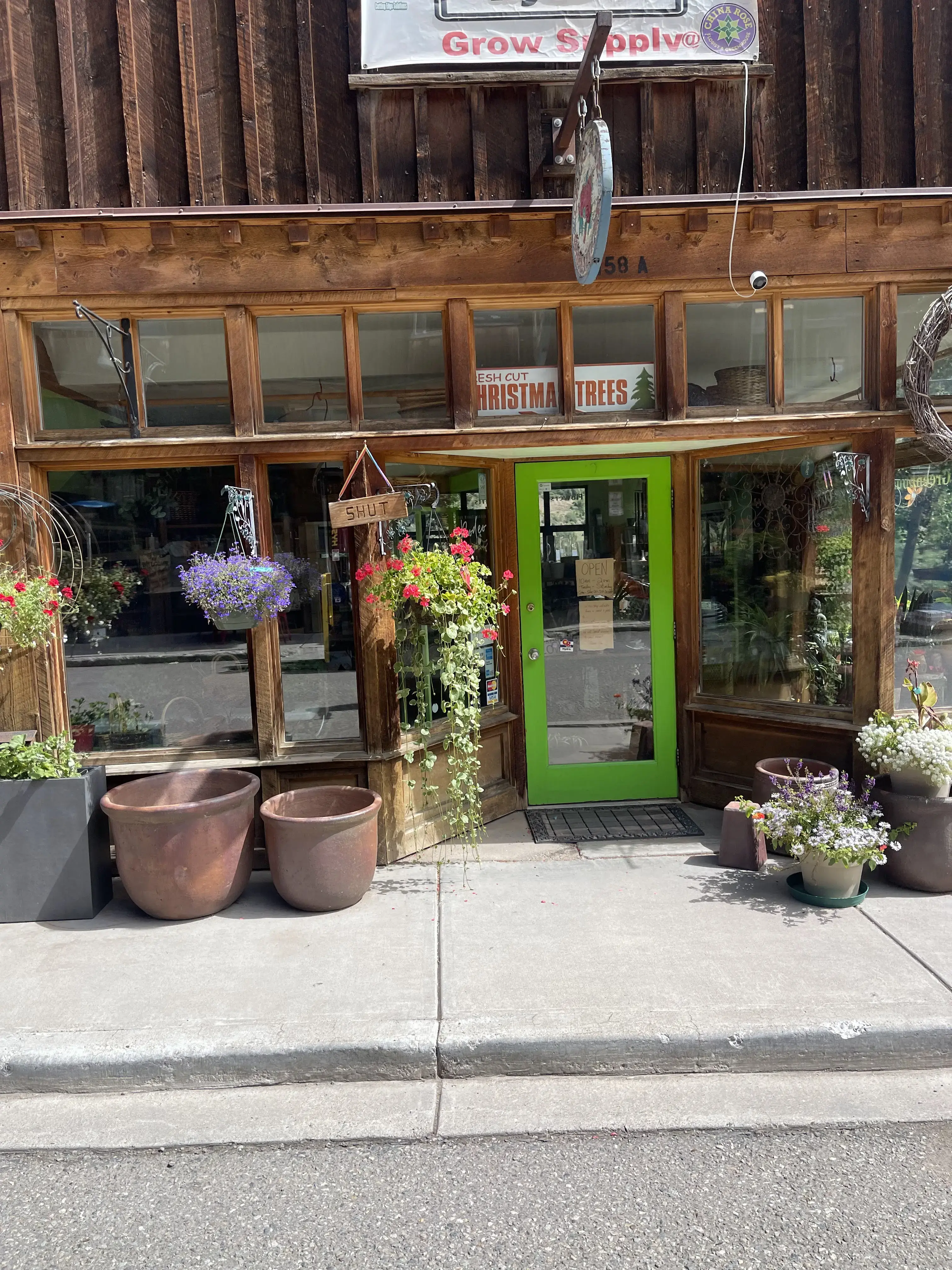 The Laundromat thumbnail 2