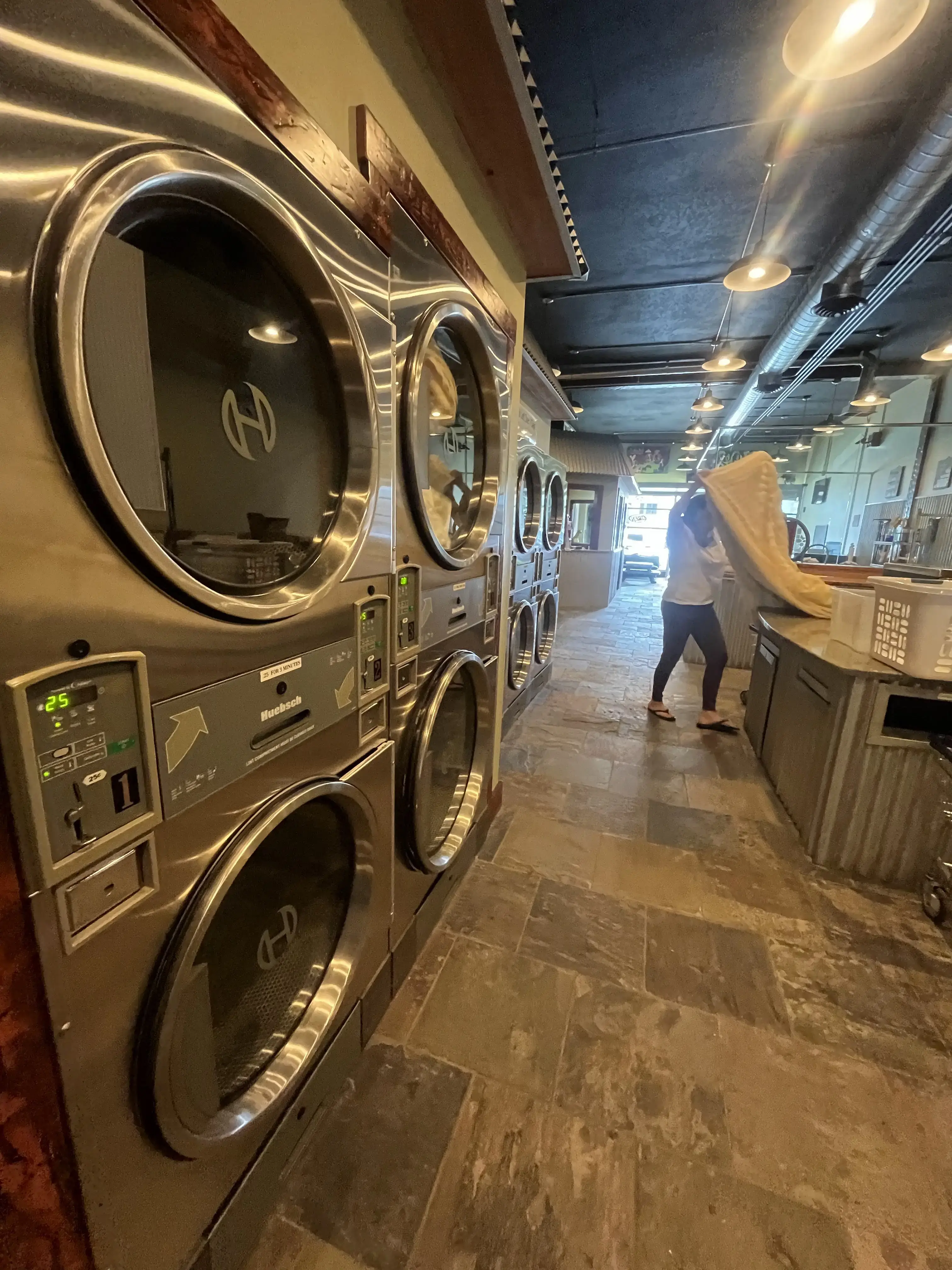 The LaundroMutt - Image 2