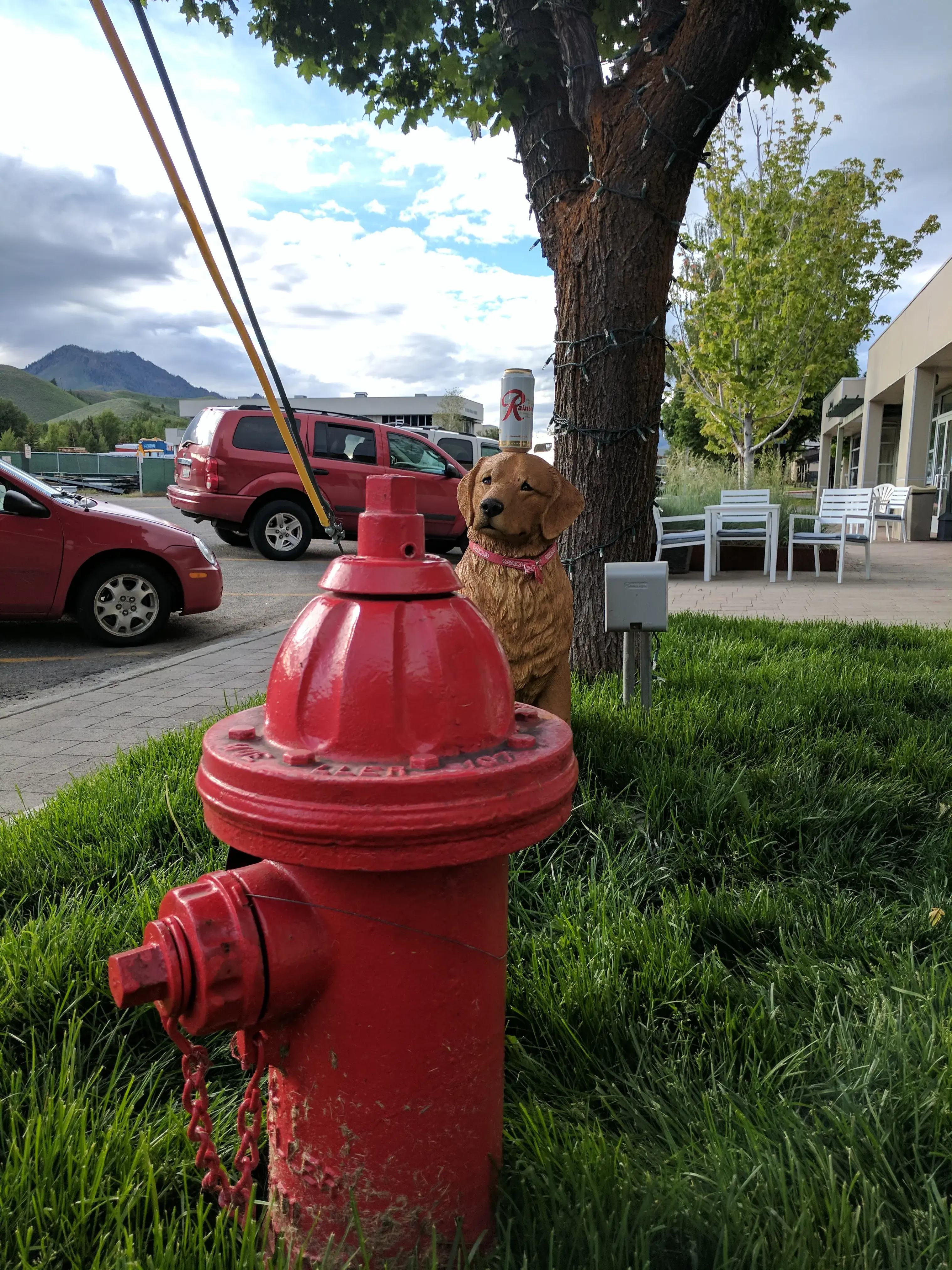 The LaundroMutt - Image 10