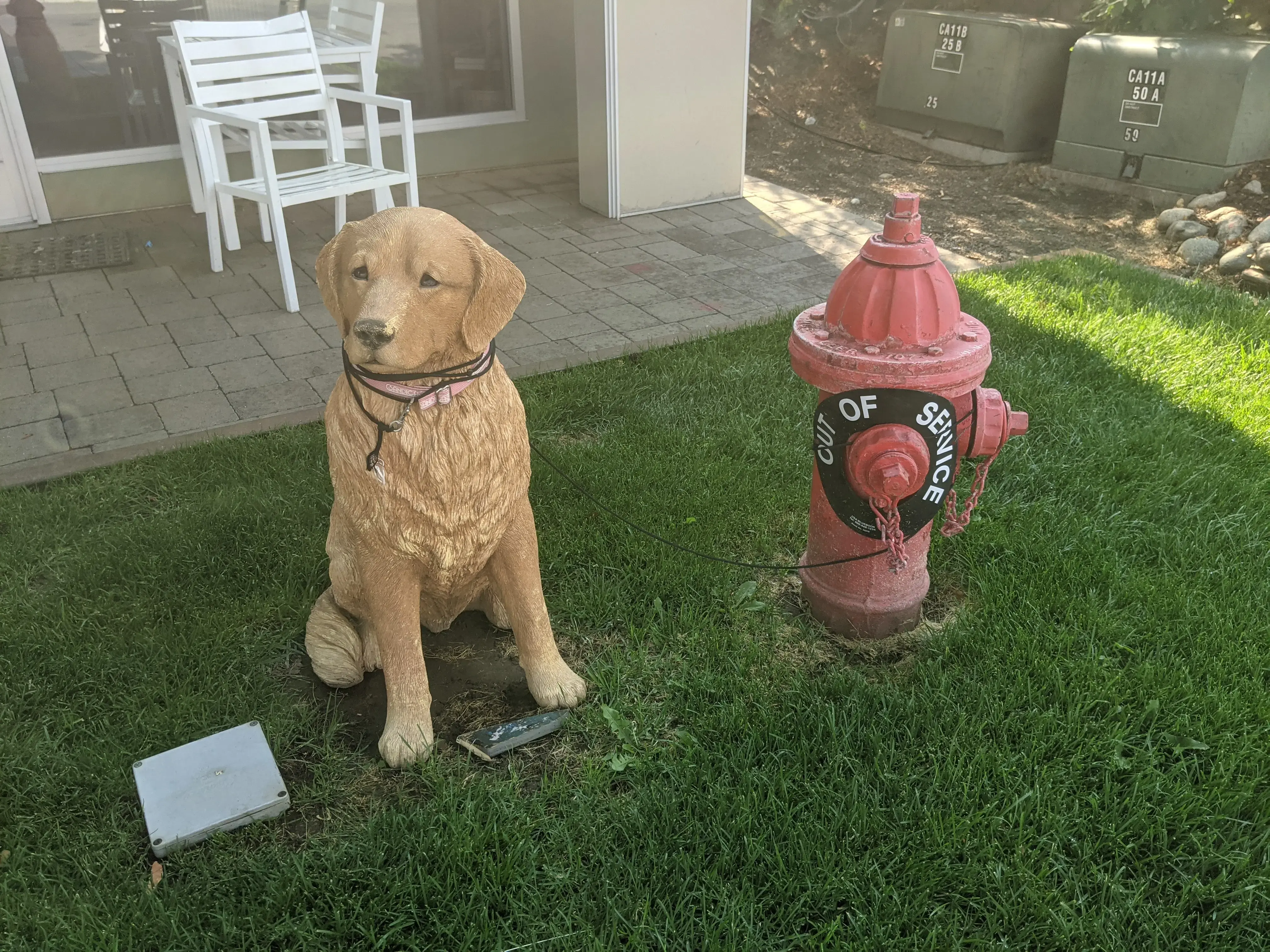 The LaundroMutt - Image 4