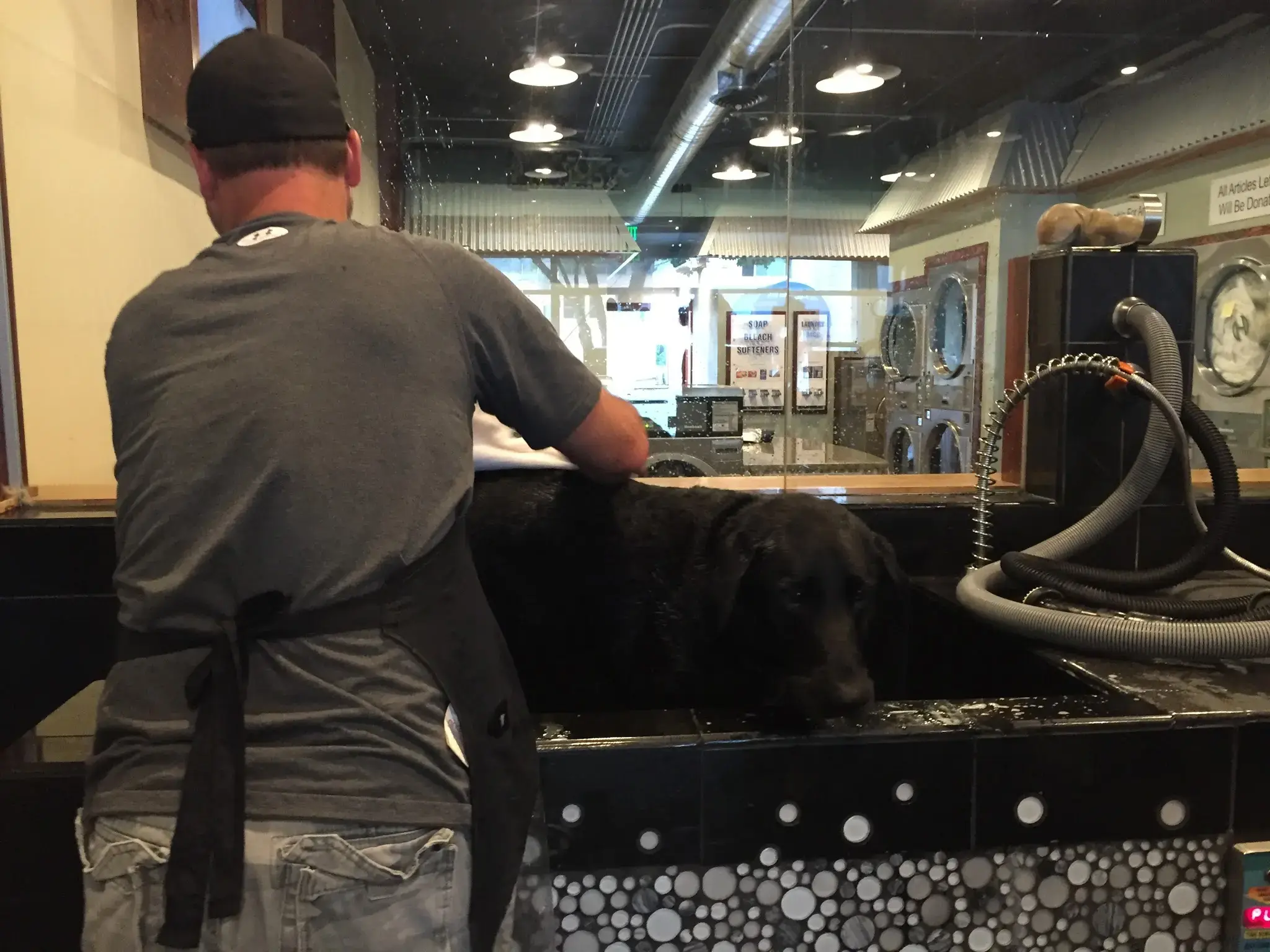 The LaundroMutt - Image 11