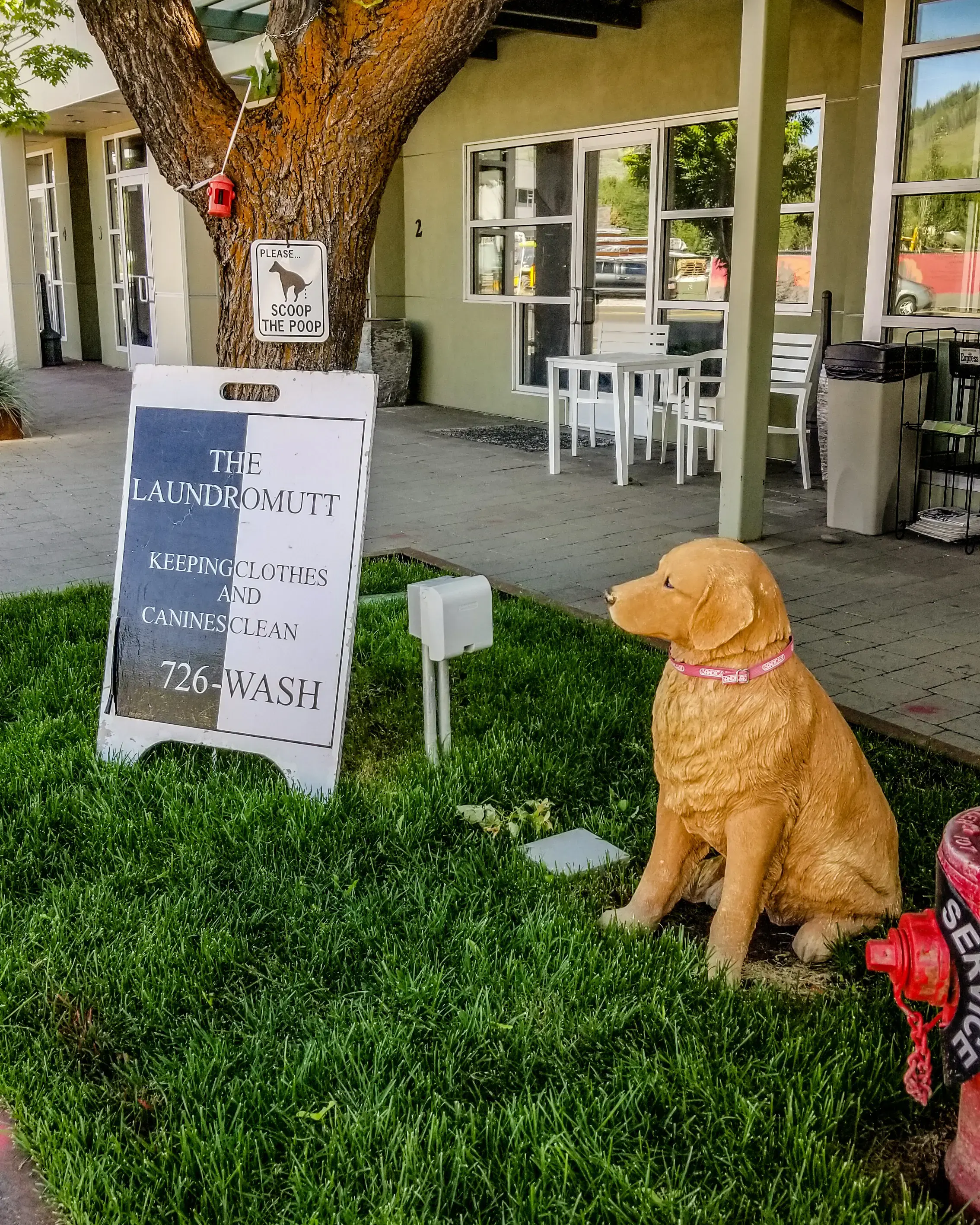 The LaundroMutt - Image 6