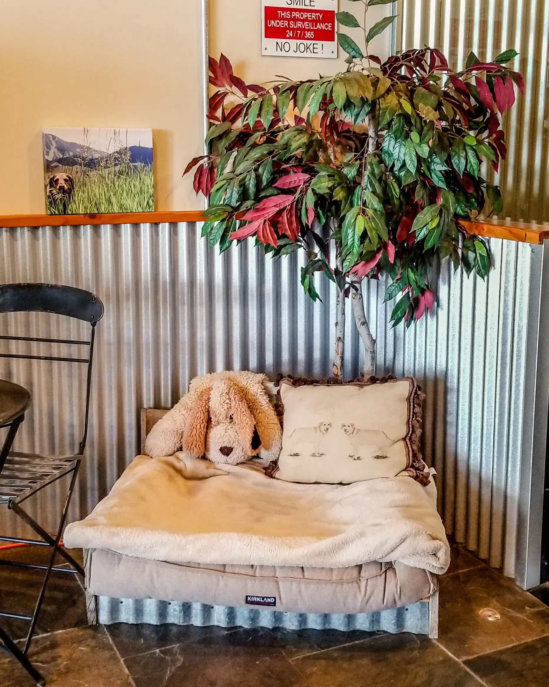 The LaundroMutt - Image 13