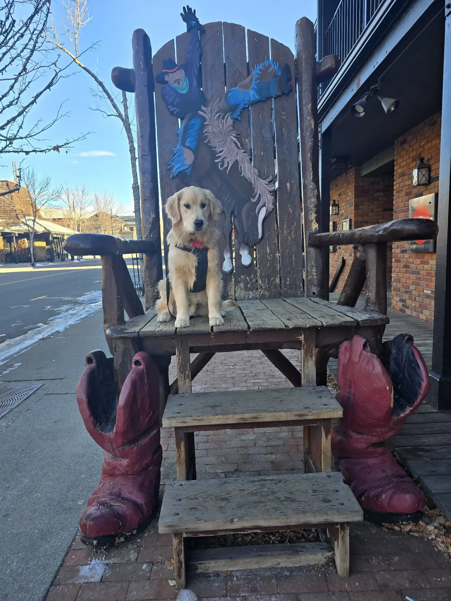 The LaundroMutt - Image 12