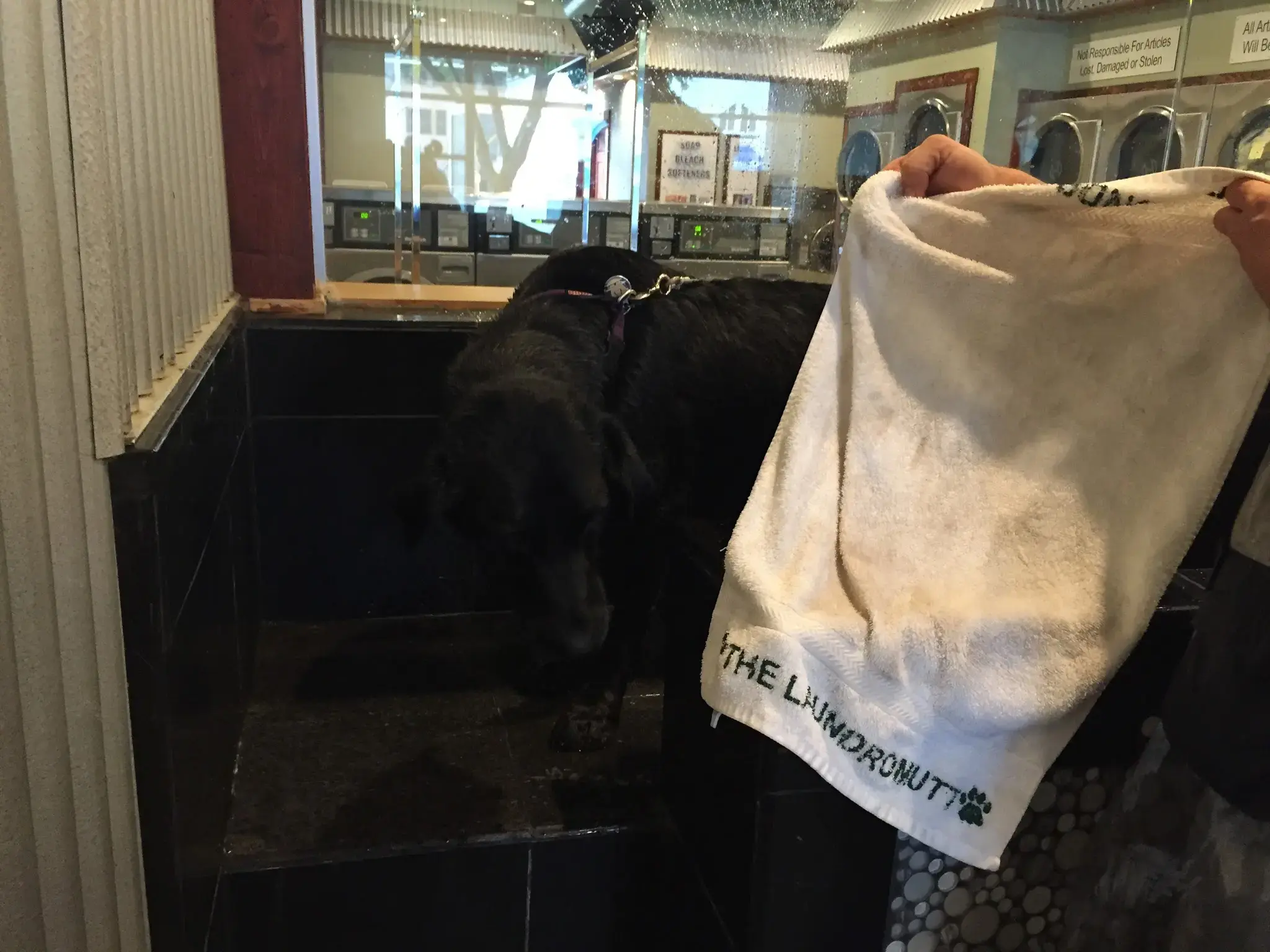 The LaundroMutt - Image 17