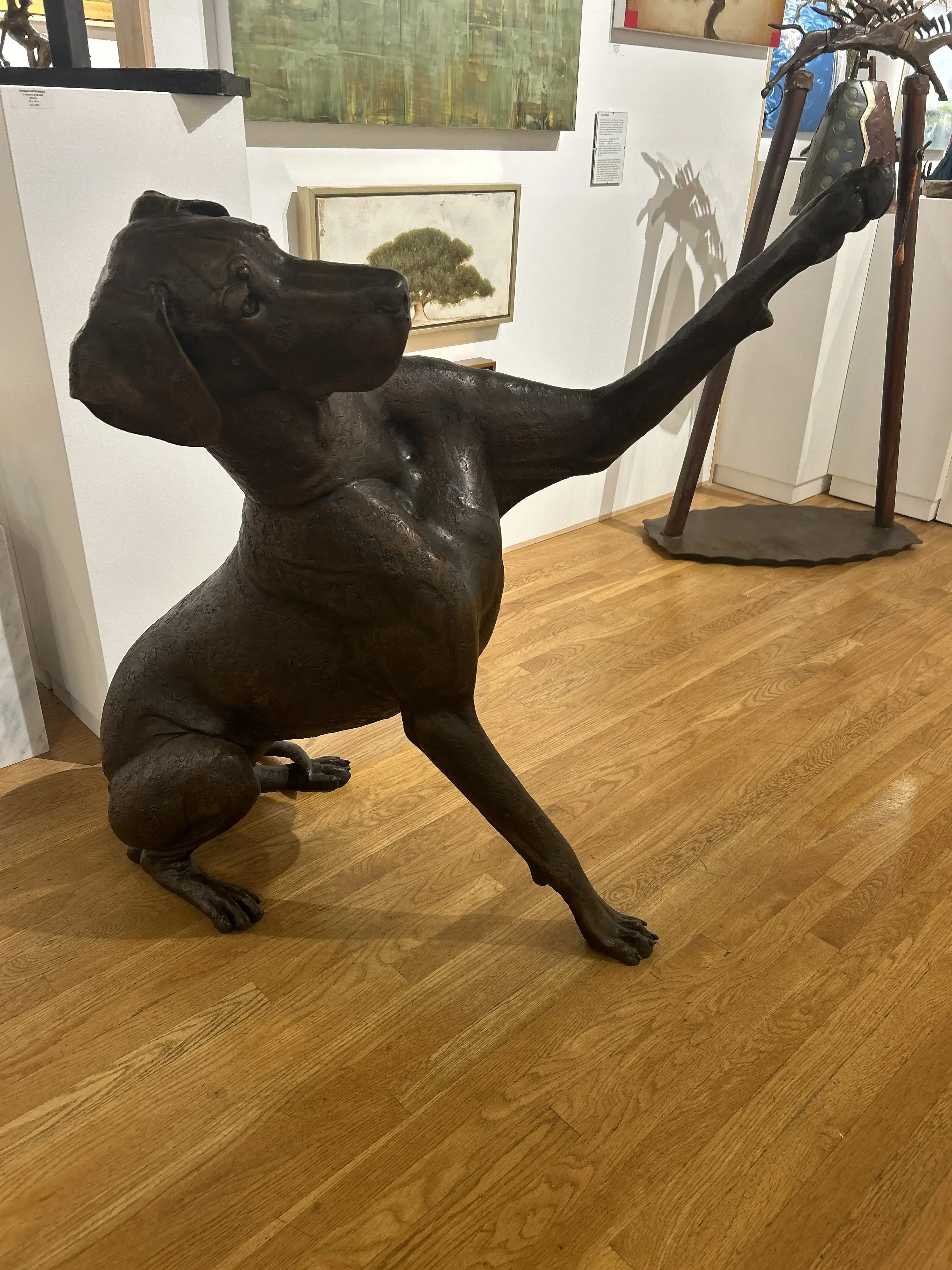 The LaundroMutt - Image 14