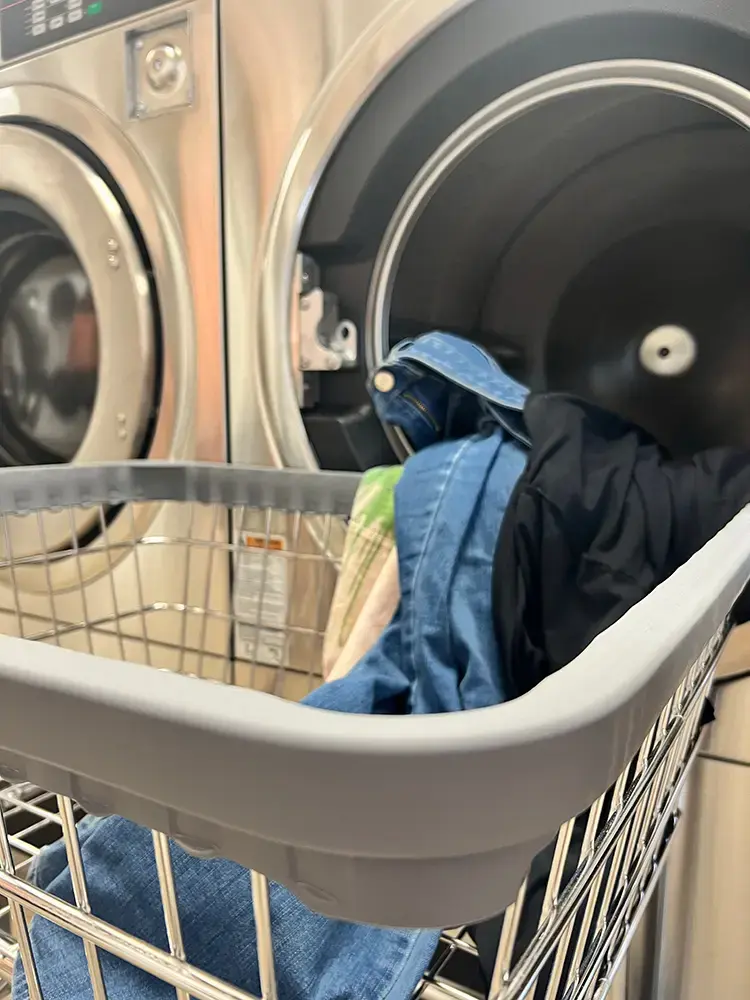 The Laundry Basket - Image 10