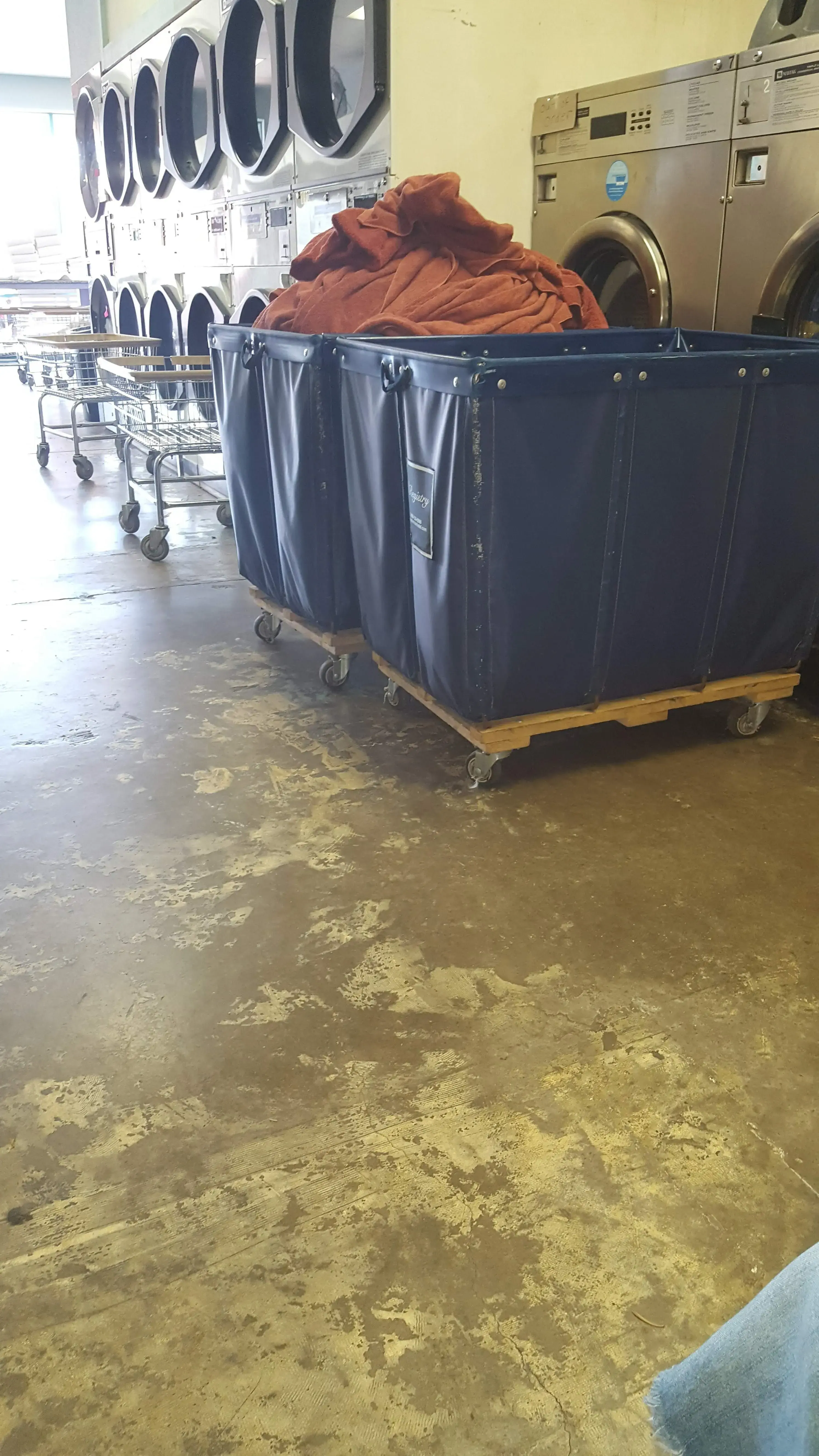 The Laundry Basket - Image 12