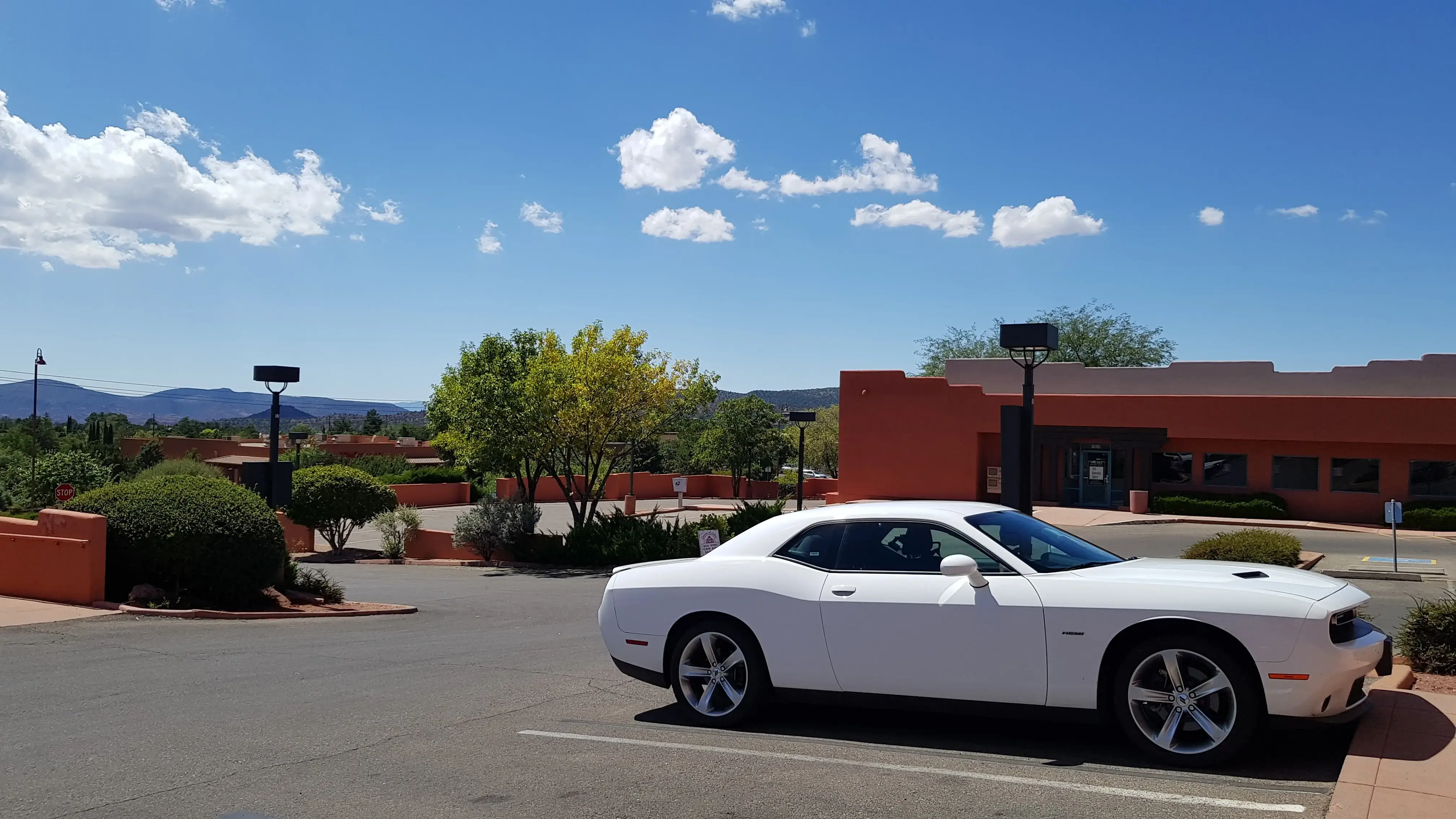 The Laundry Basket - Image 11