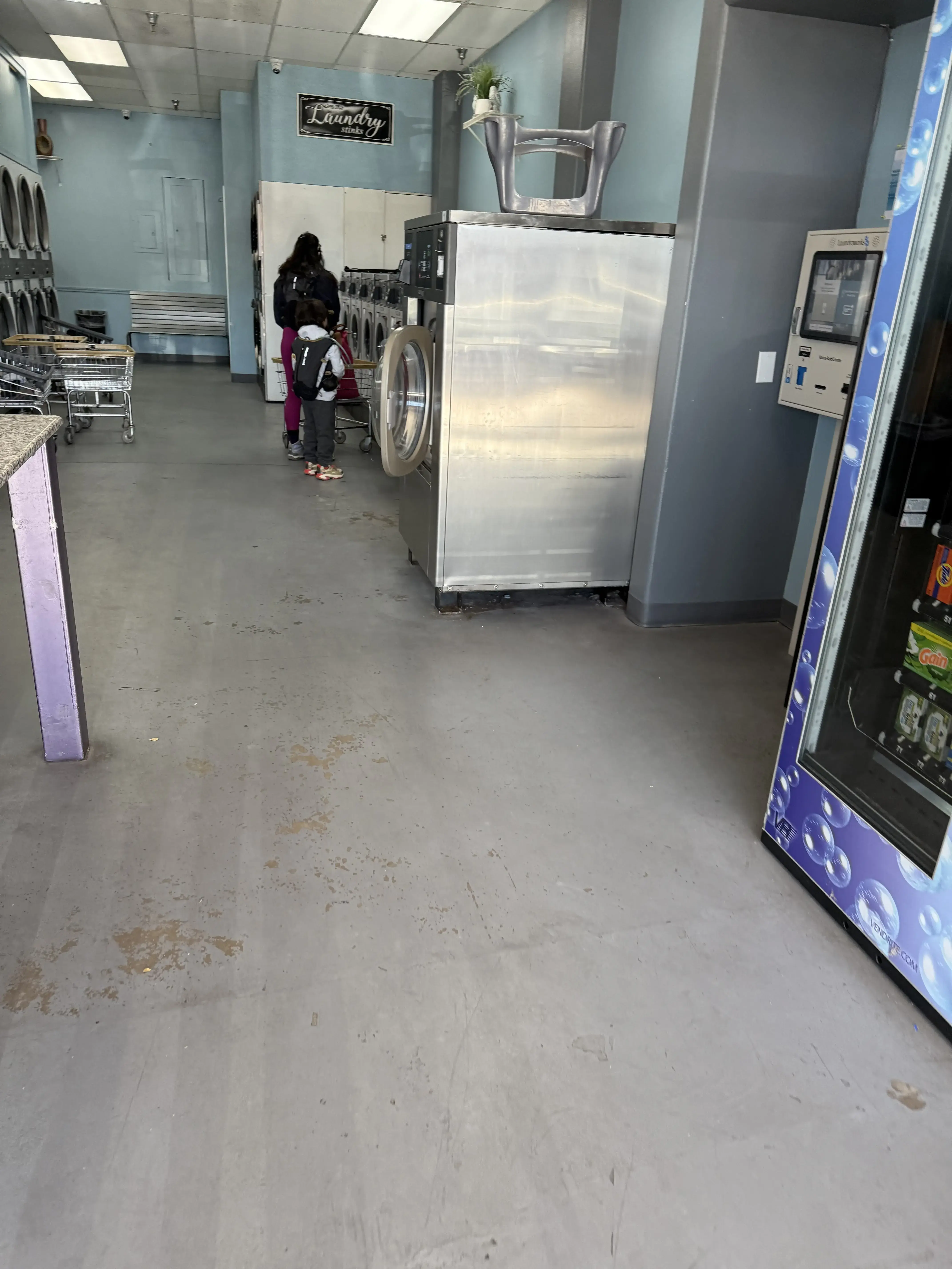 The Laundry Basket - Image 17