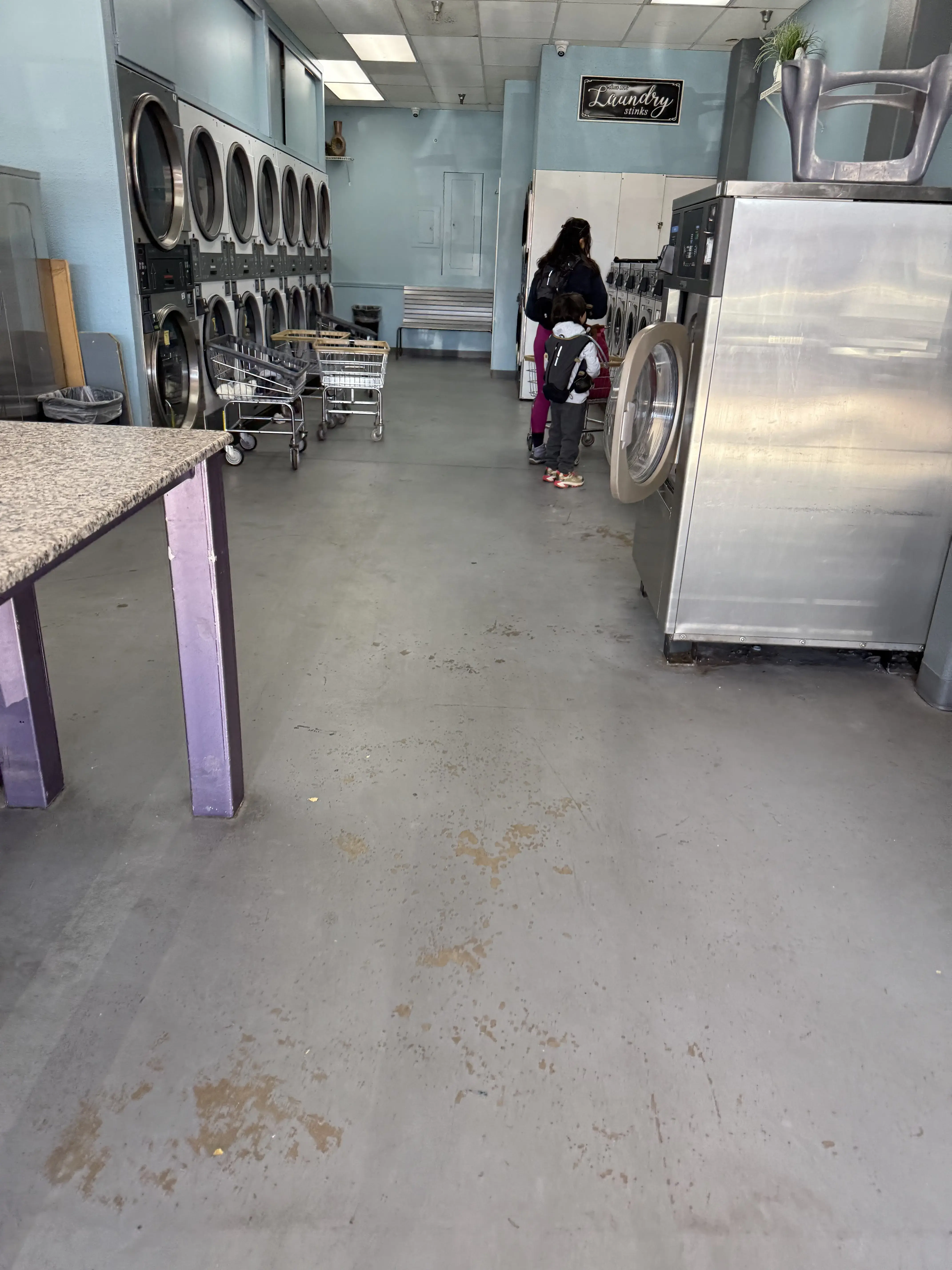 The Laundry Basket thumbnail 15