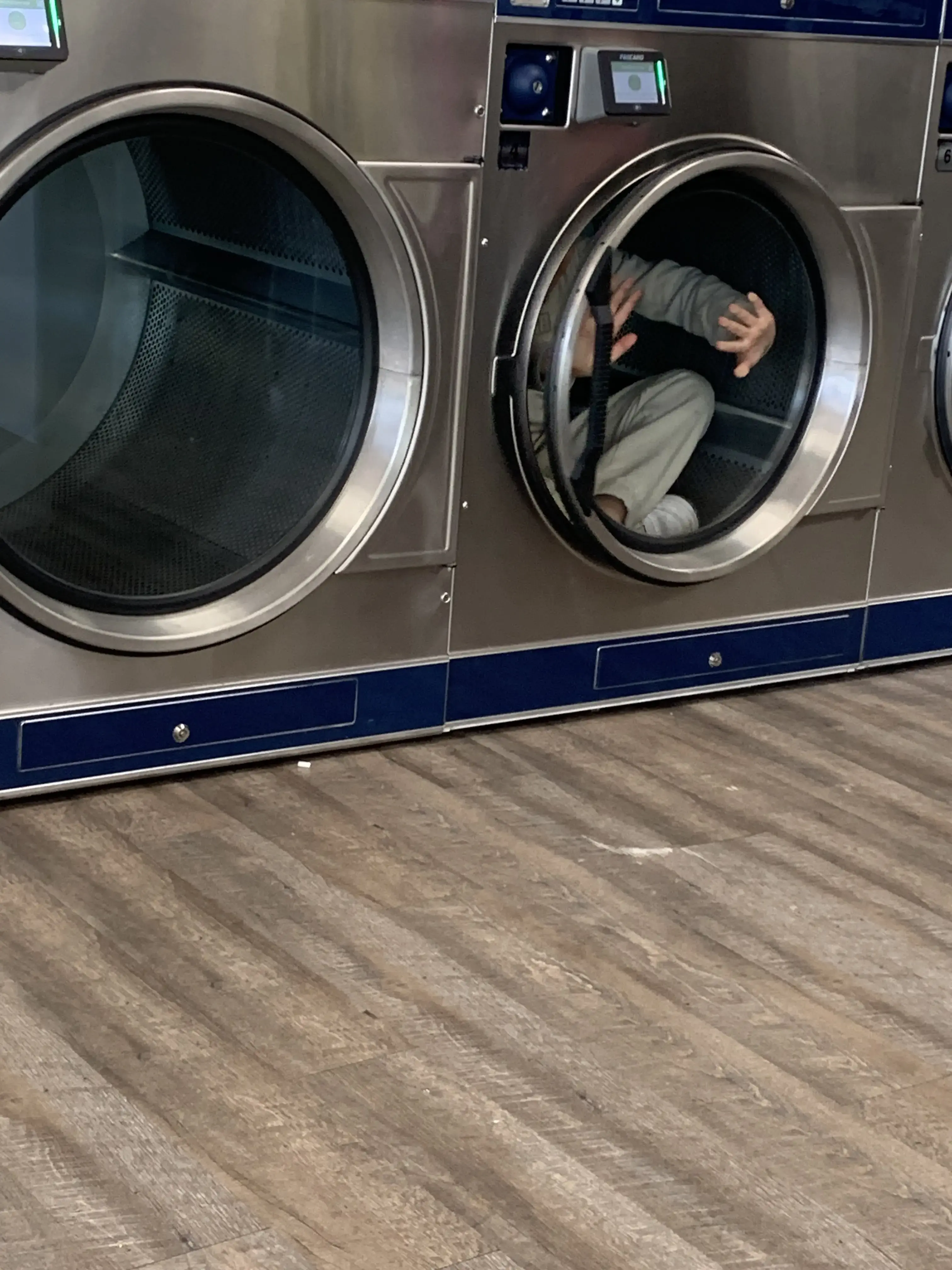 The Laundry Basket thumbnail 2