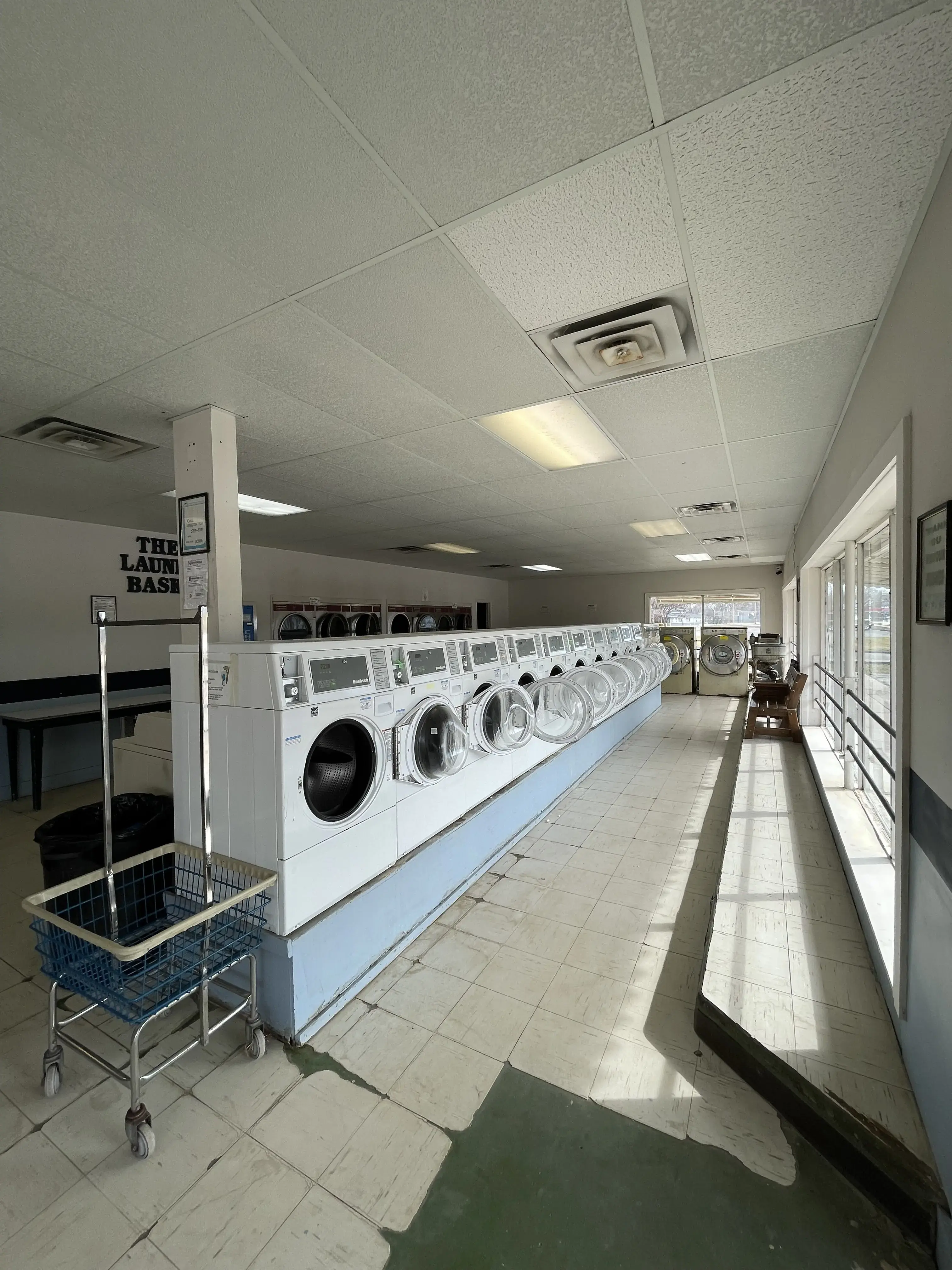 The Laundry Basket - Image 1