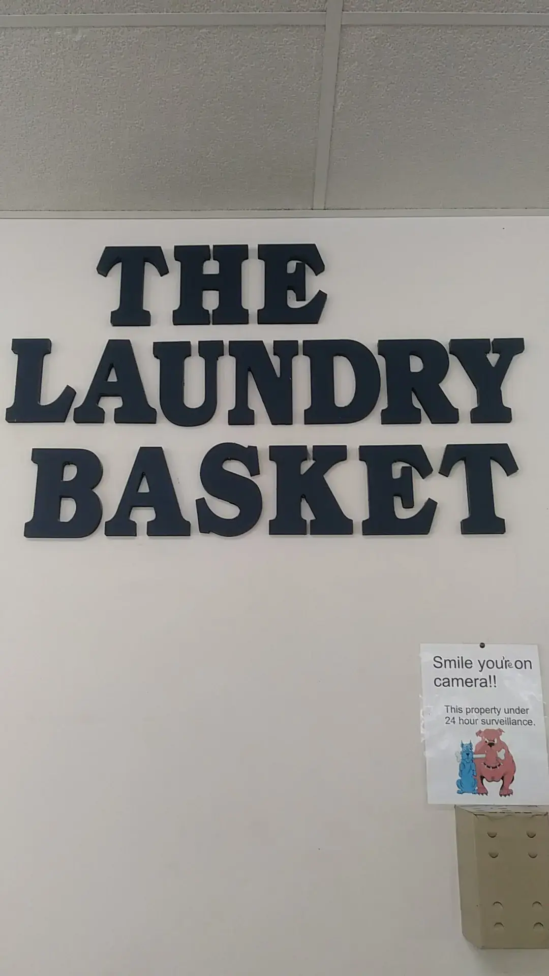 The Laundry Basket thumbnail 15