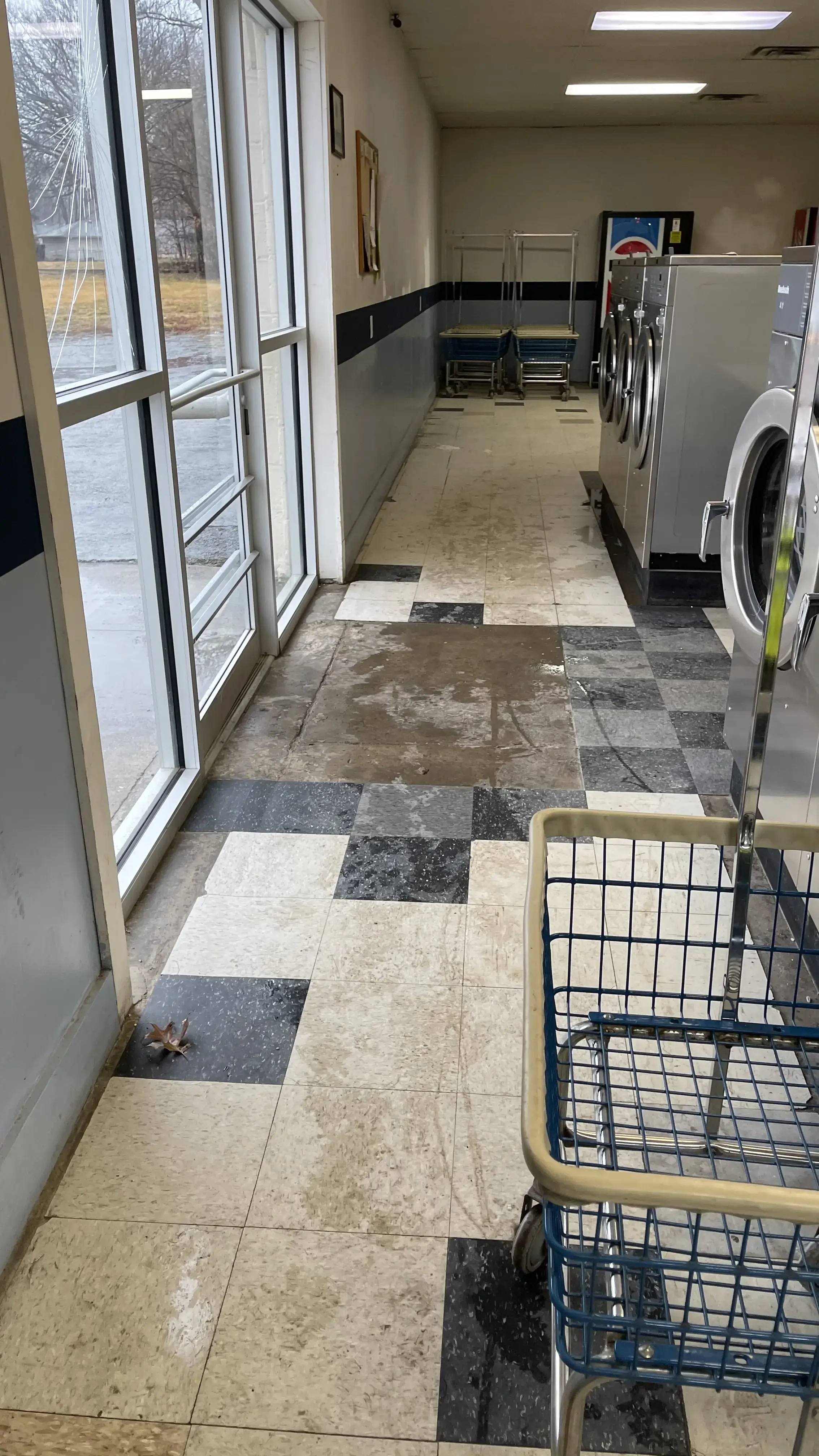 The Laundry Basket - Image 20