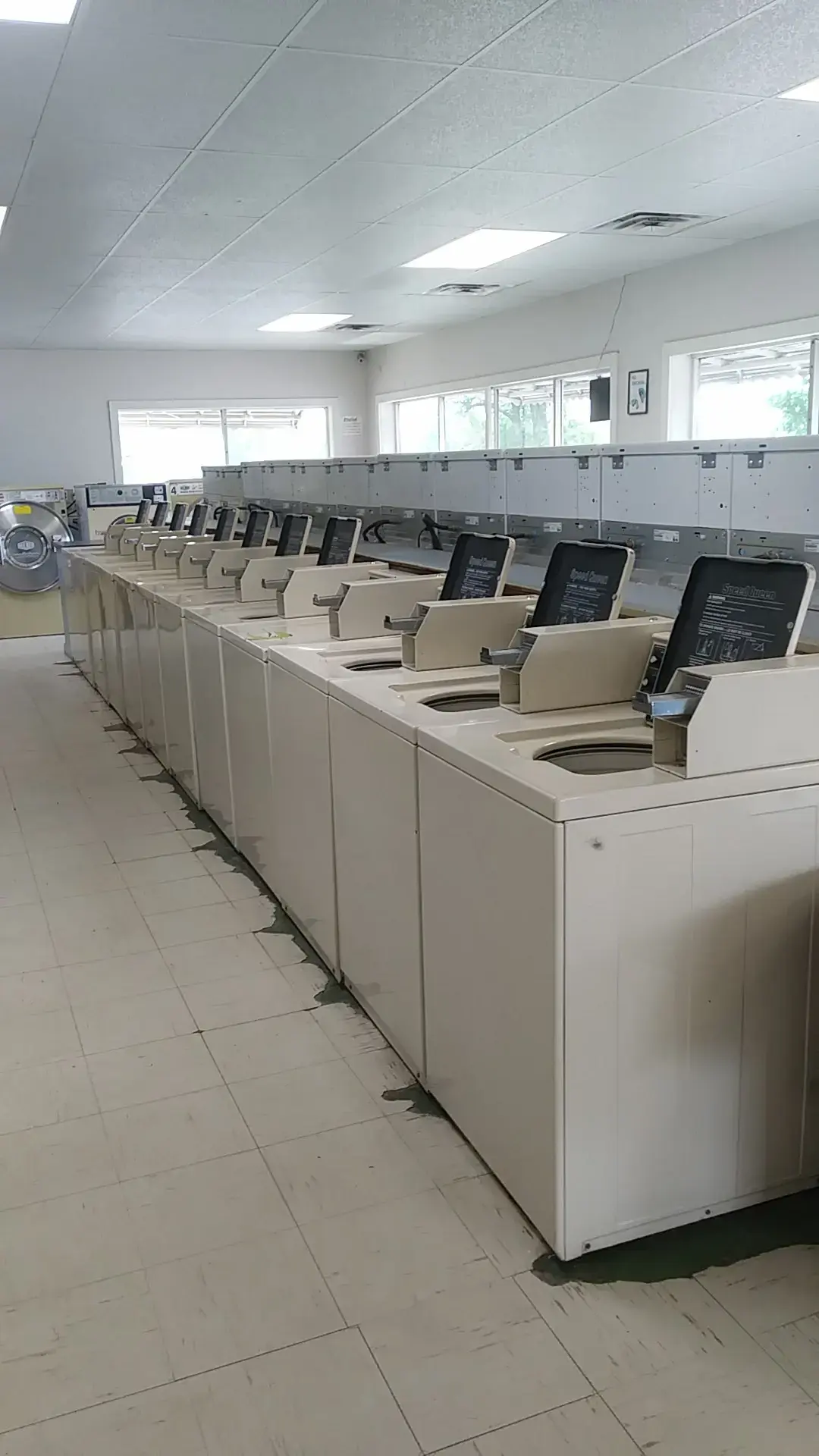 The Laundry Basket thumbnail 7