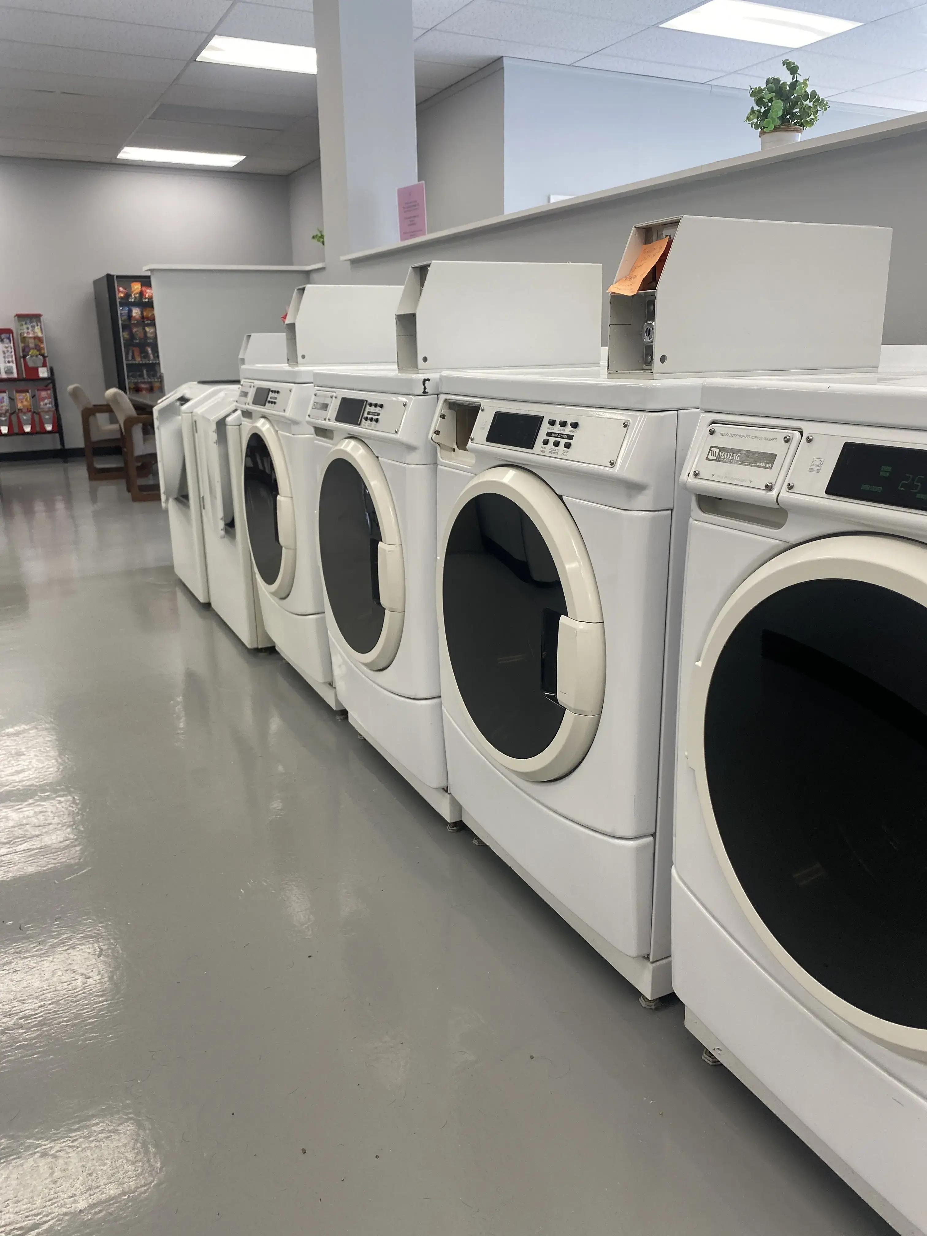 The Laundry Basket - Image 20