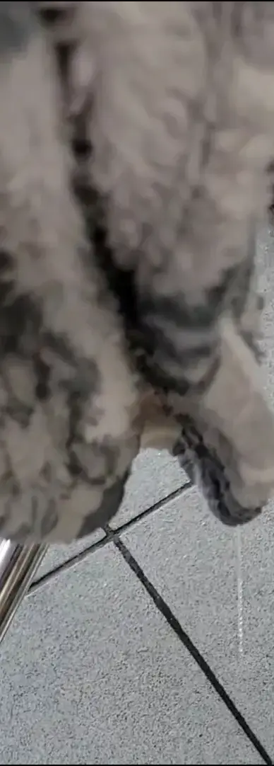 The Laundry Basket (Laundromat) thumbnail 7