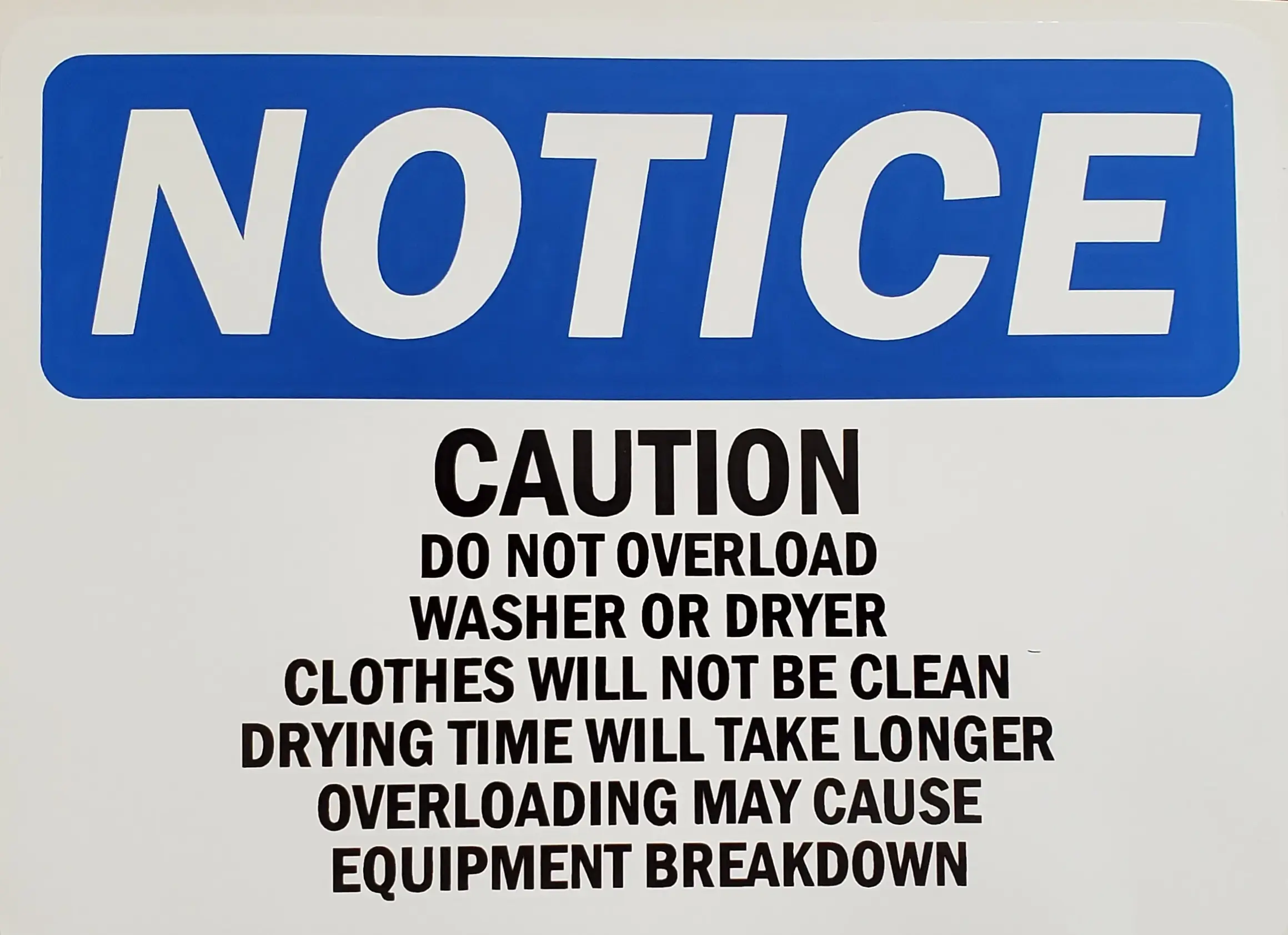 The Laundry Basket thumbnail 20