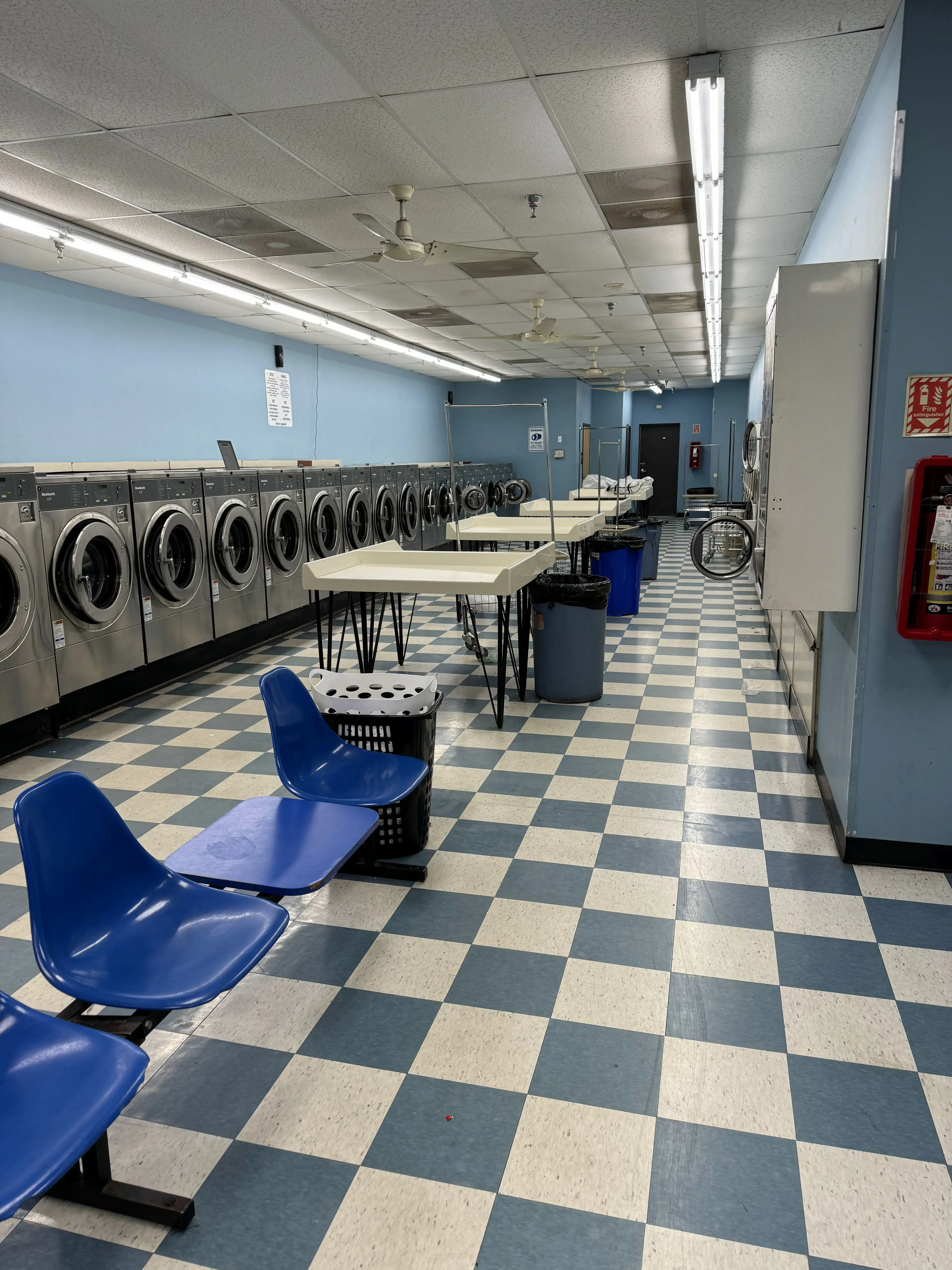 The Laundry Basket - Image 3