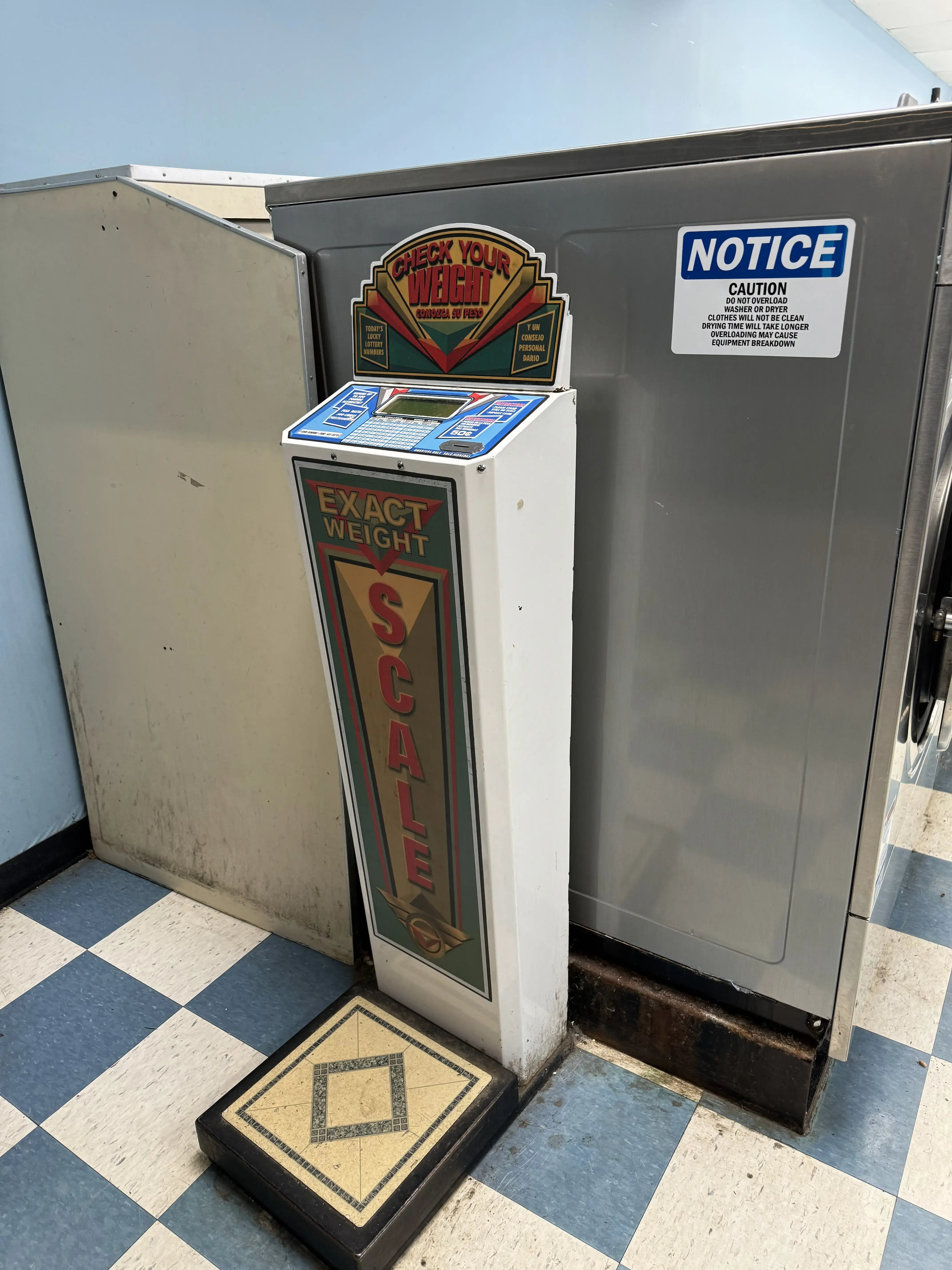 The Laundry Basket - Image 12