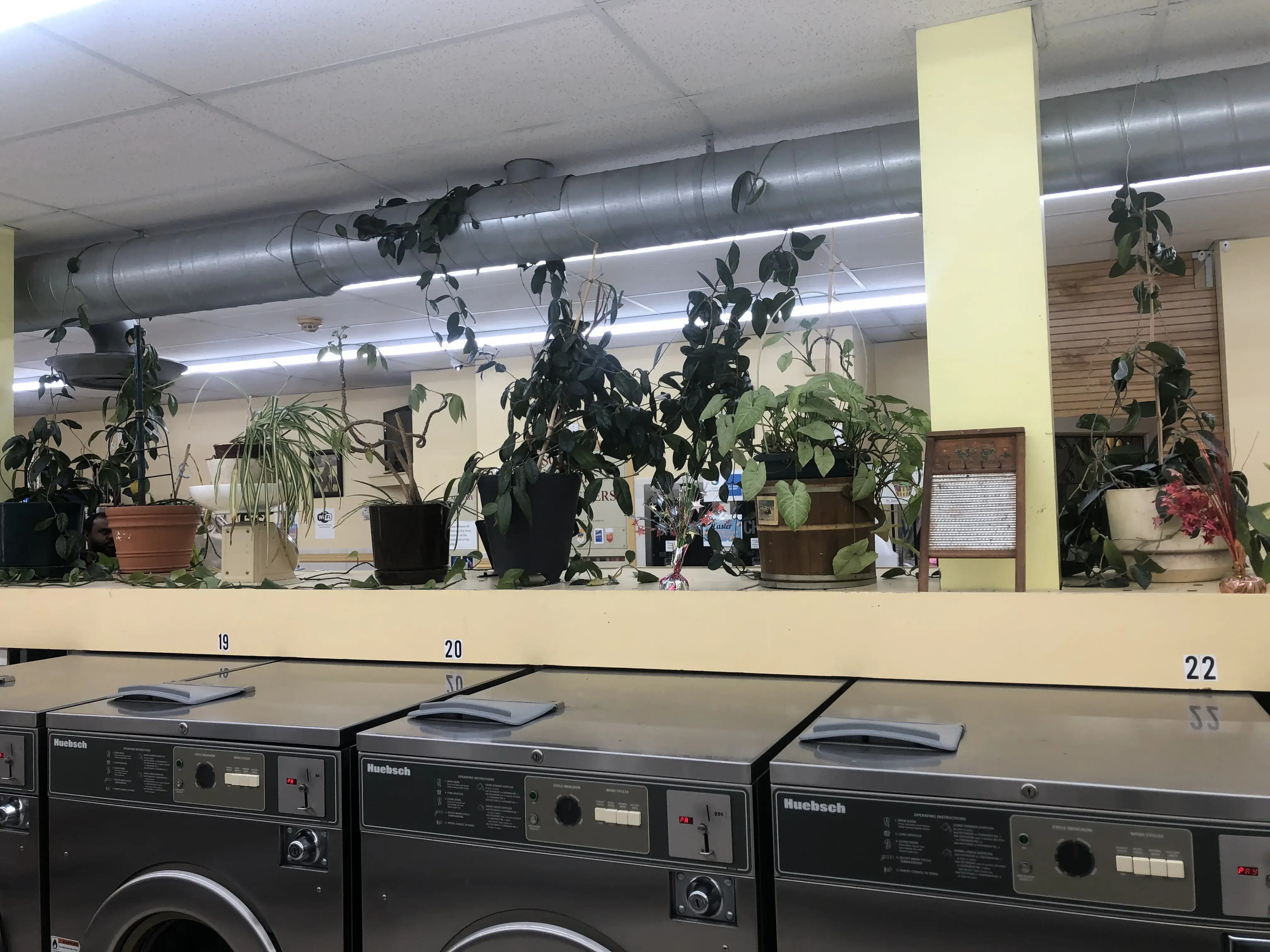 The Laundry Basket - Image 13