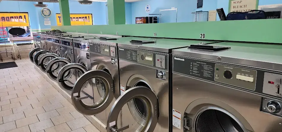 The Laundry Basket - Image 2