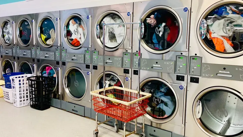 The Laundry Basket - Image 1