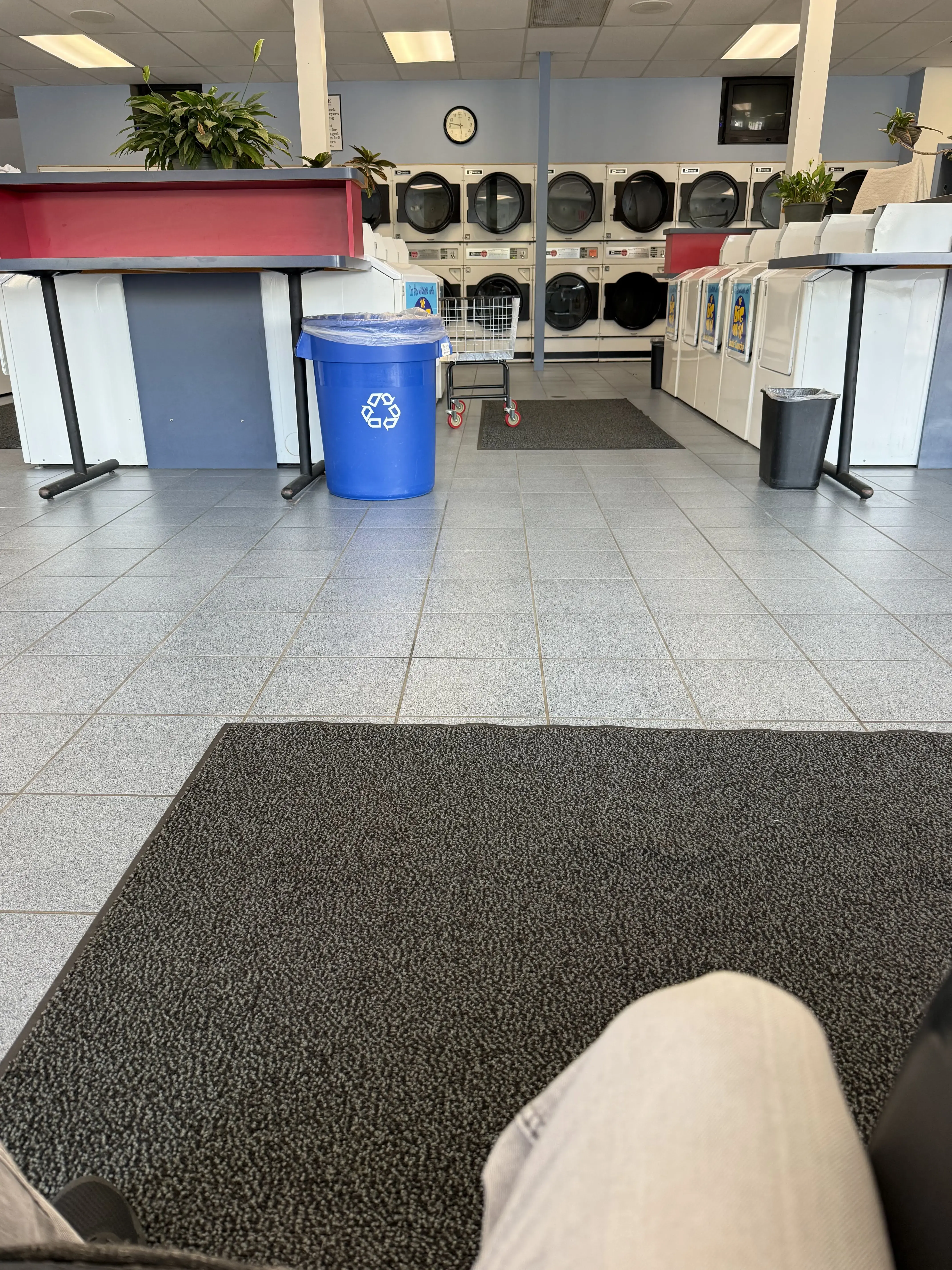 The Laundry Basket Too thumbnail 2