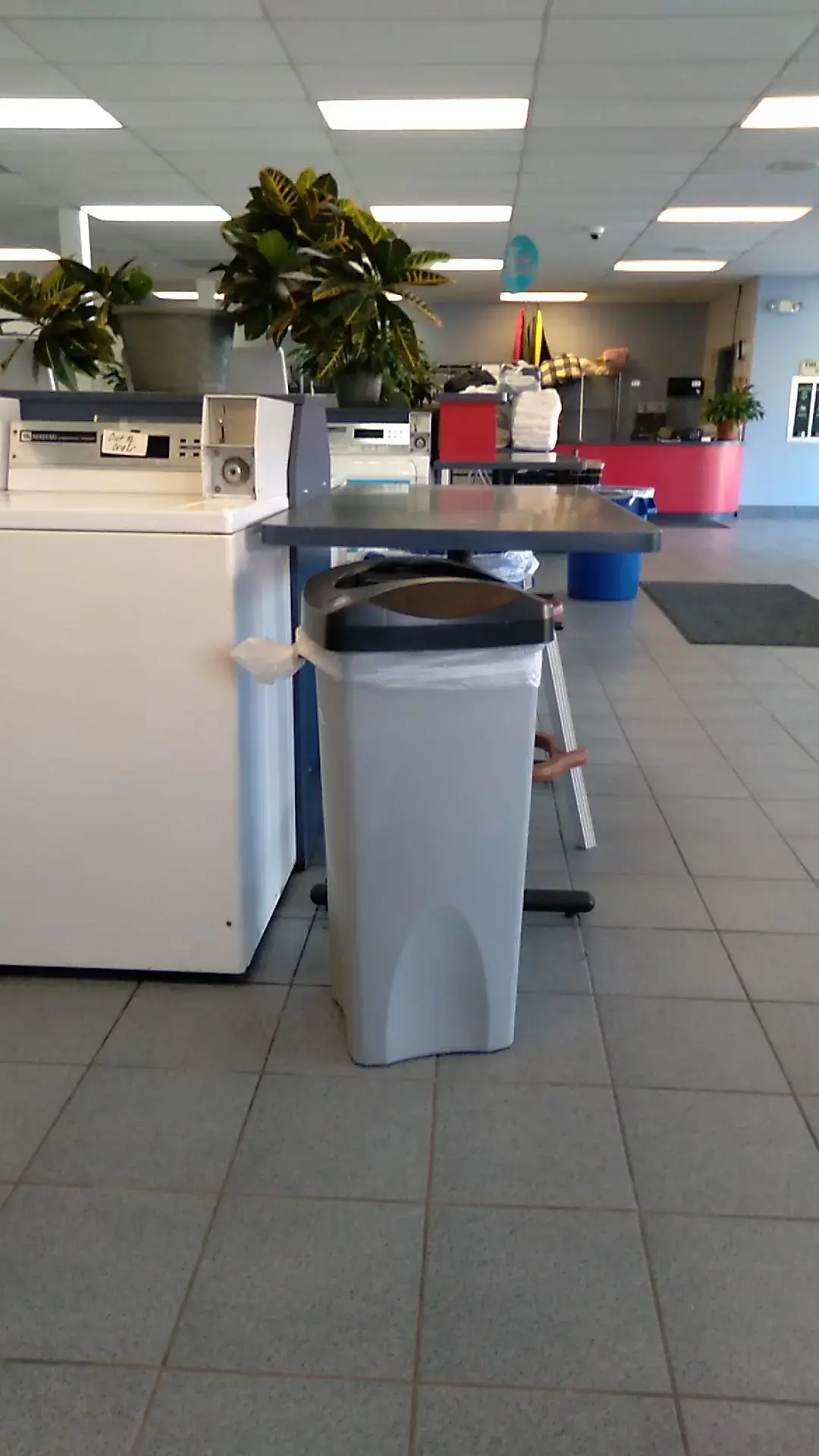 The Laundry Basket Too thumbnail 10