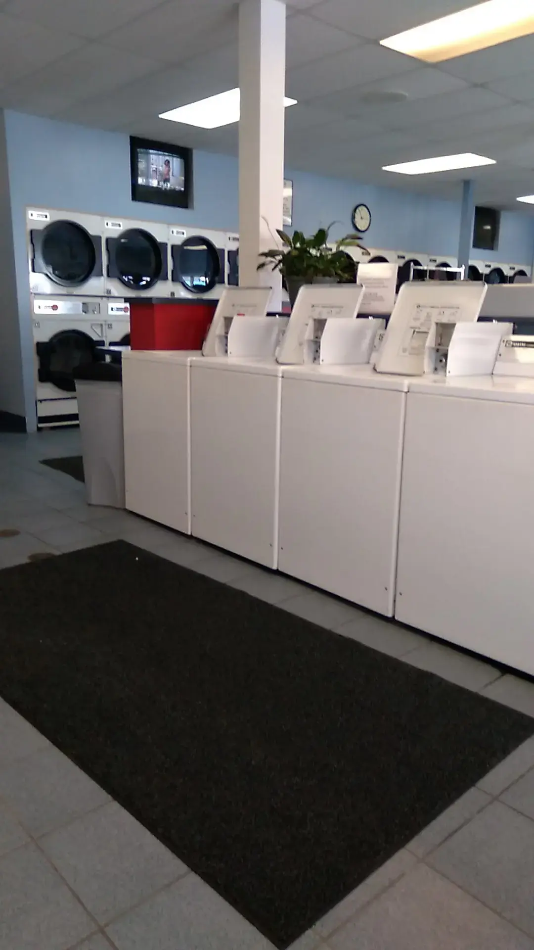 The Laundry Basket Too thumbnail 12