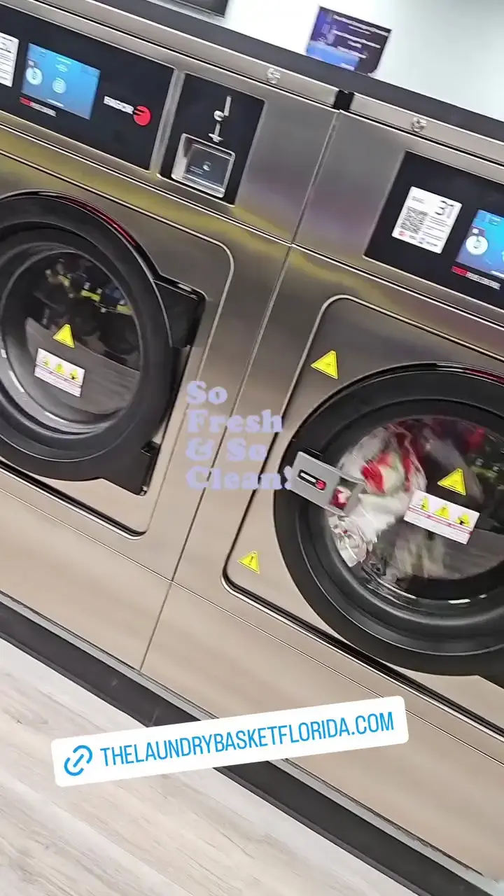 The Laundry Basket thumbnail 9