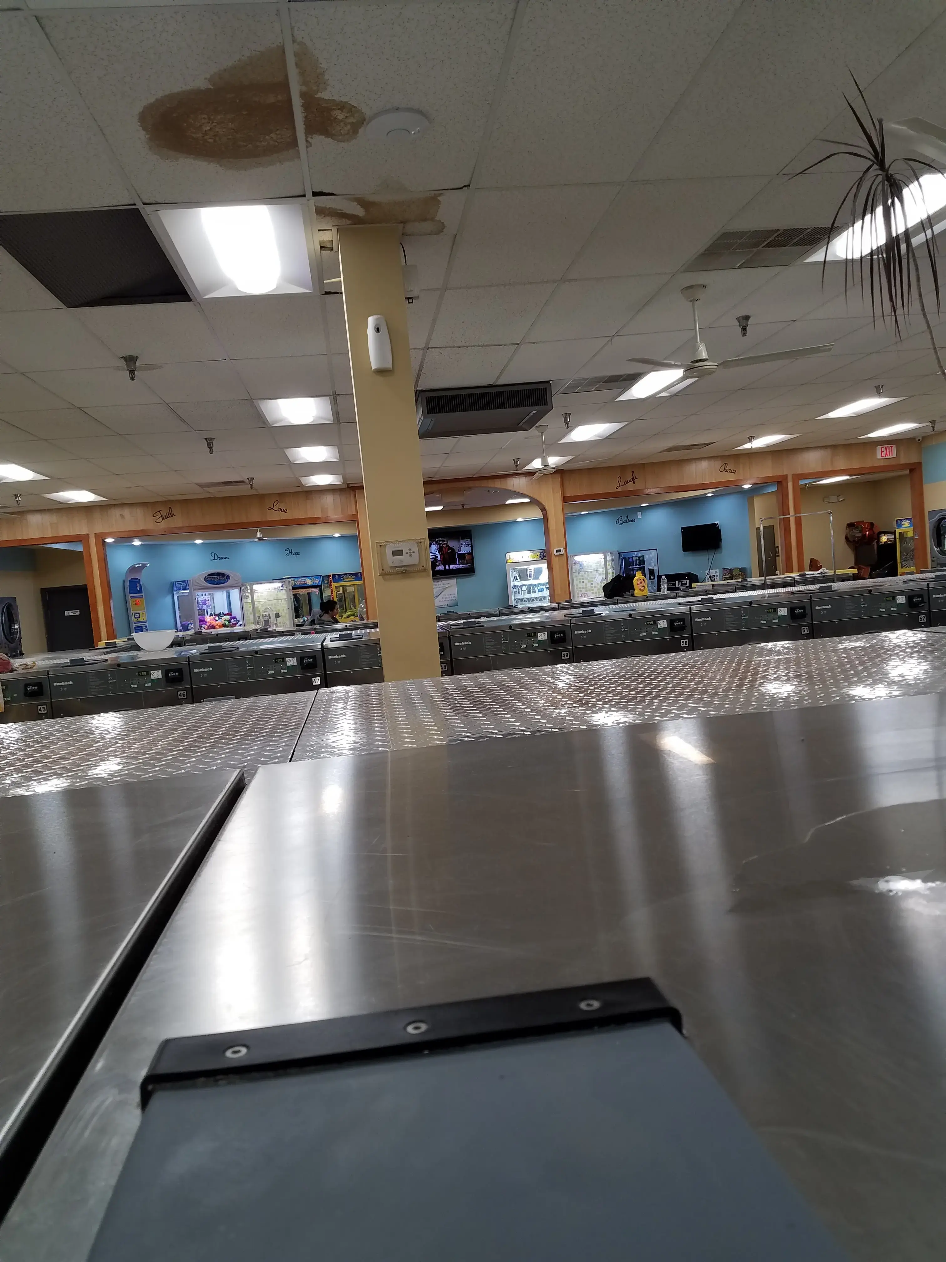 The Laundry Cafe - Image 3